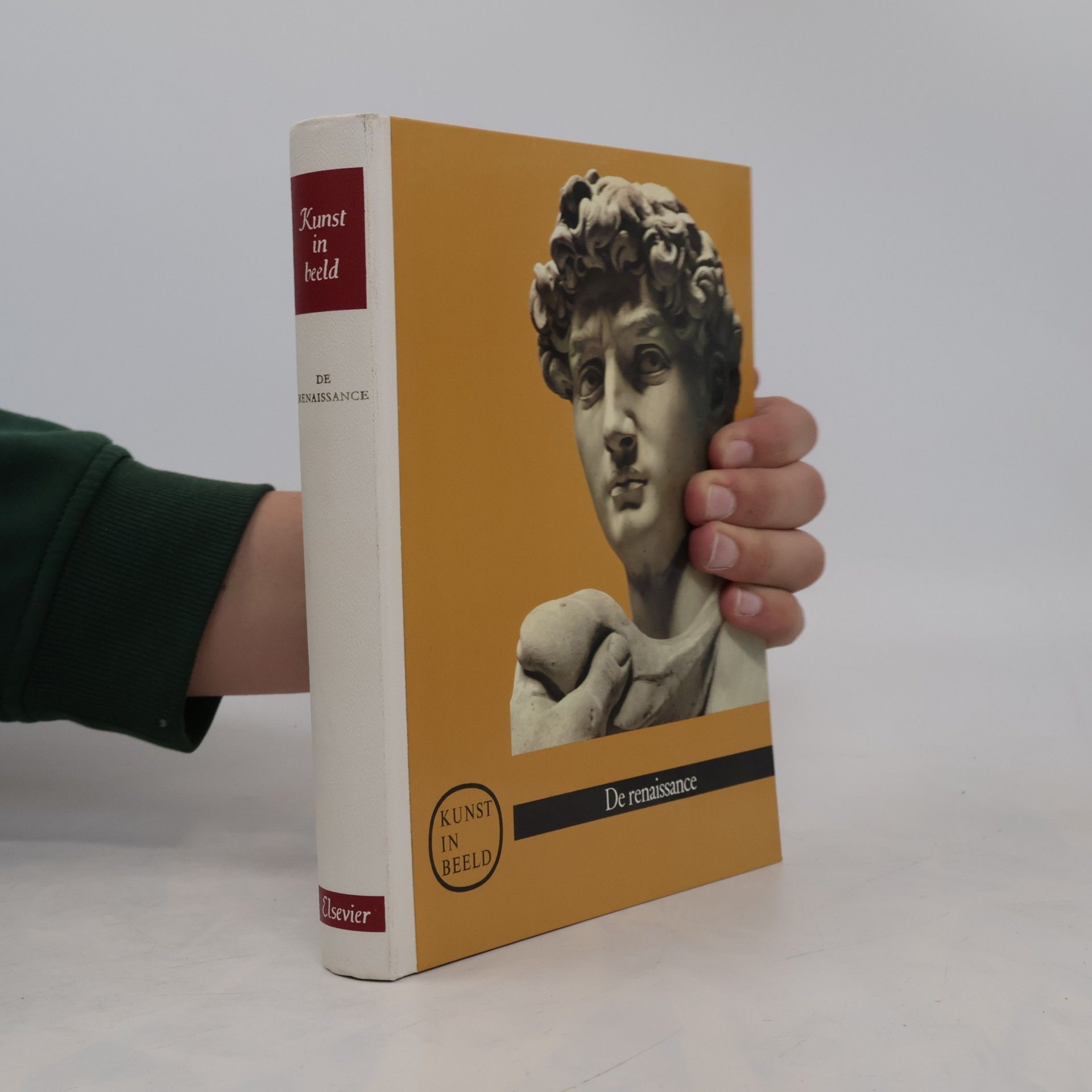 Kolektiv autorů Kunst in beeld