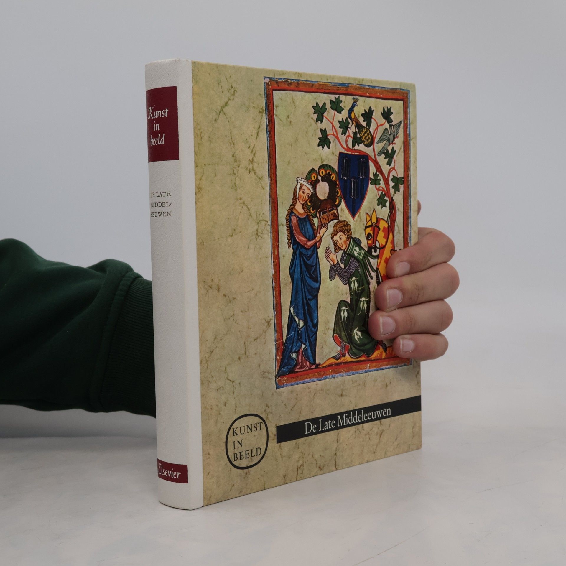 Kolektiv autorů Kunst in beeld