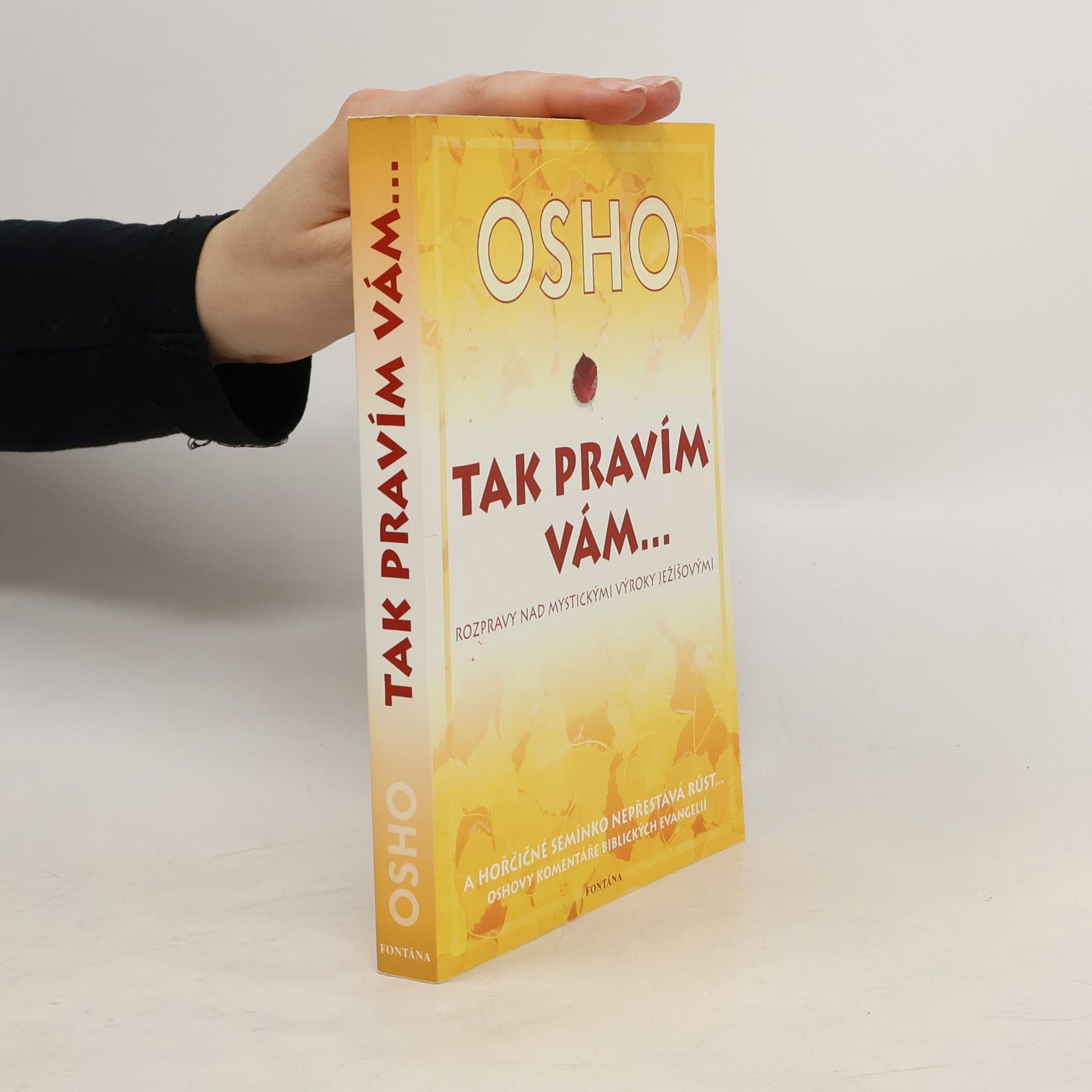 Ošó Tak pravím vám... Rozmluvy o mystických výrocích Ježíšových