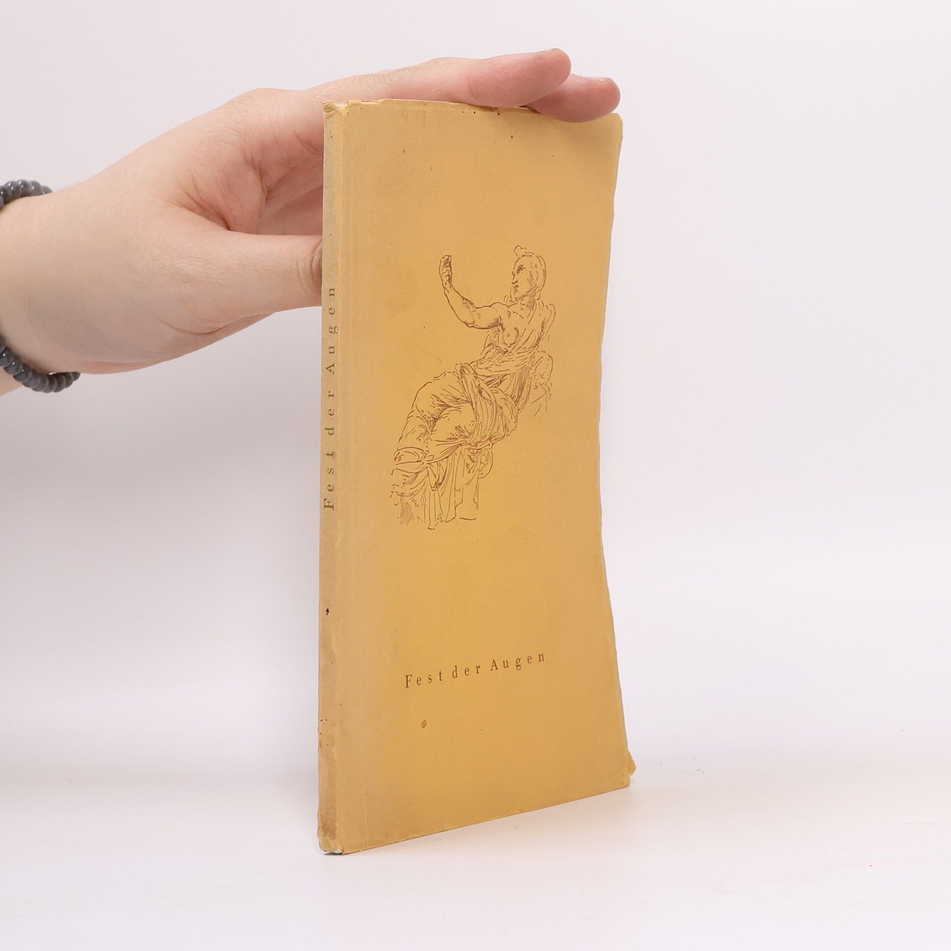 Collectif d'auteurs Fest der Augen