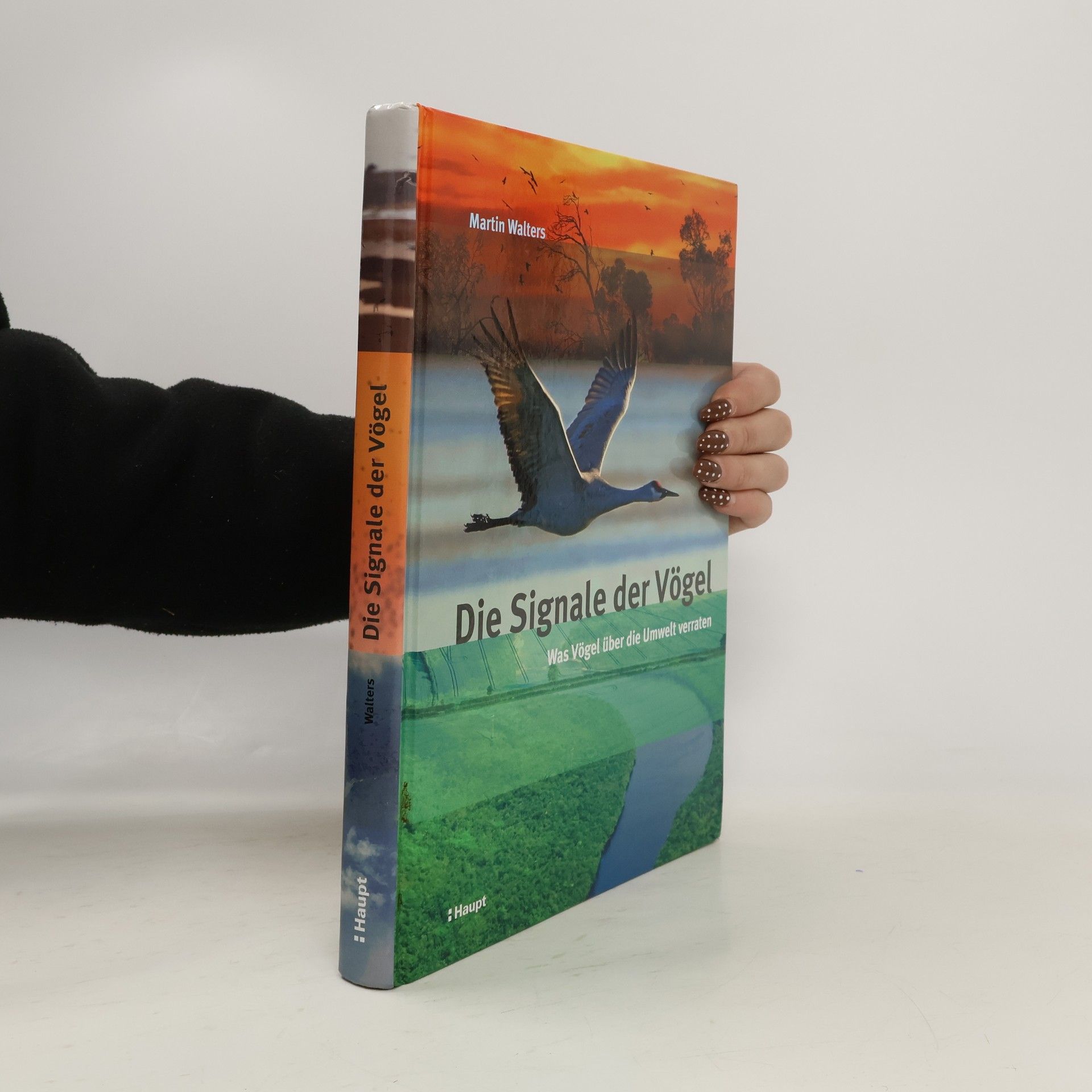 Martin Walters Die Signale der Vögel