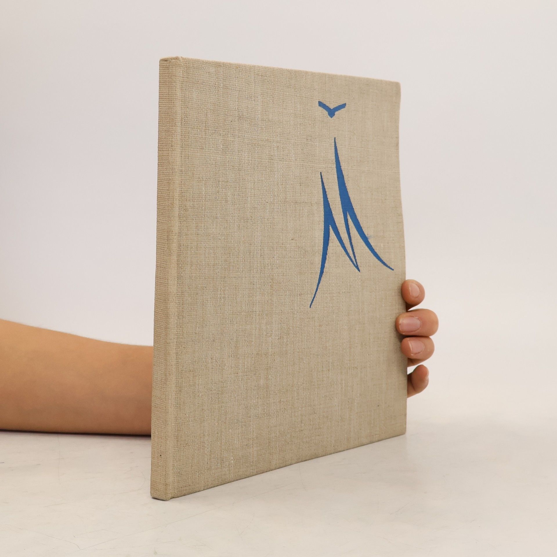 Collectif d'auteurs Malév