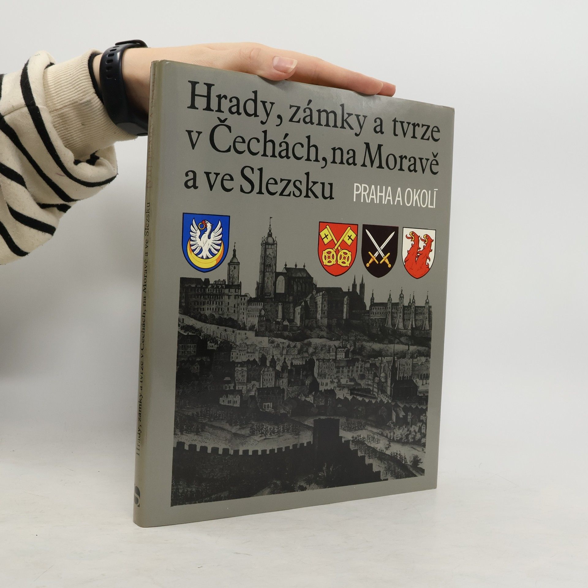 Kolektiv autorů Hrady, zámky a tvrze v Čechách, na Moravě a ve Slezsku VII. Praha a okolí