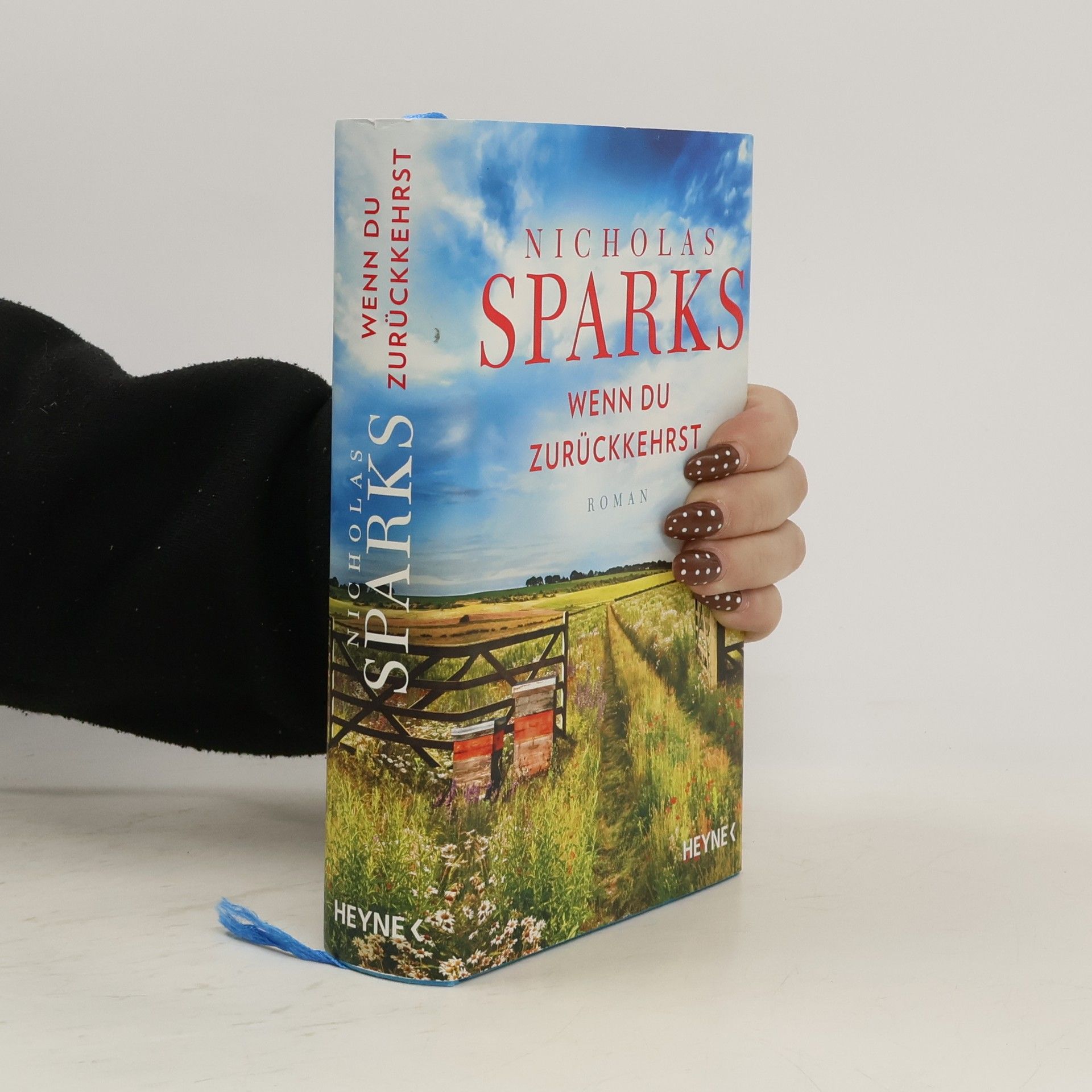 Nicholas Sparks Wenn du zurückkehrst
