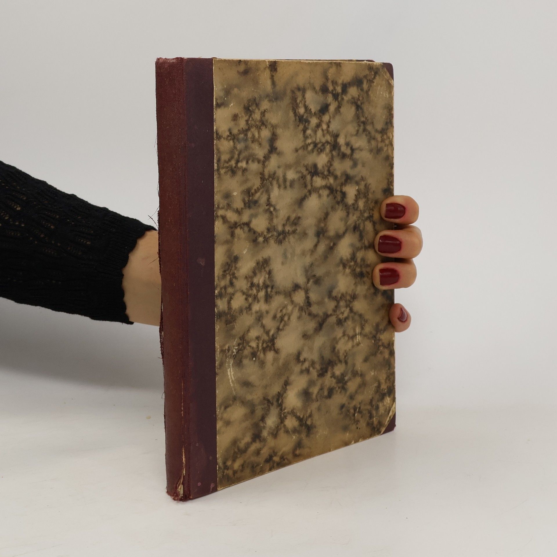 Gabriel Smetana Malý čtenář. Kniha české mládeže.  Ročník třináctý