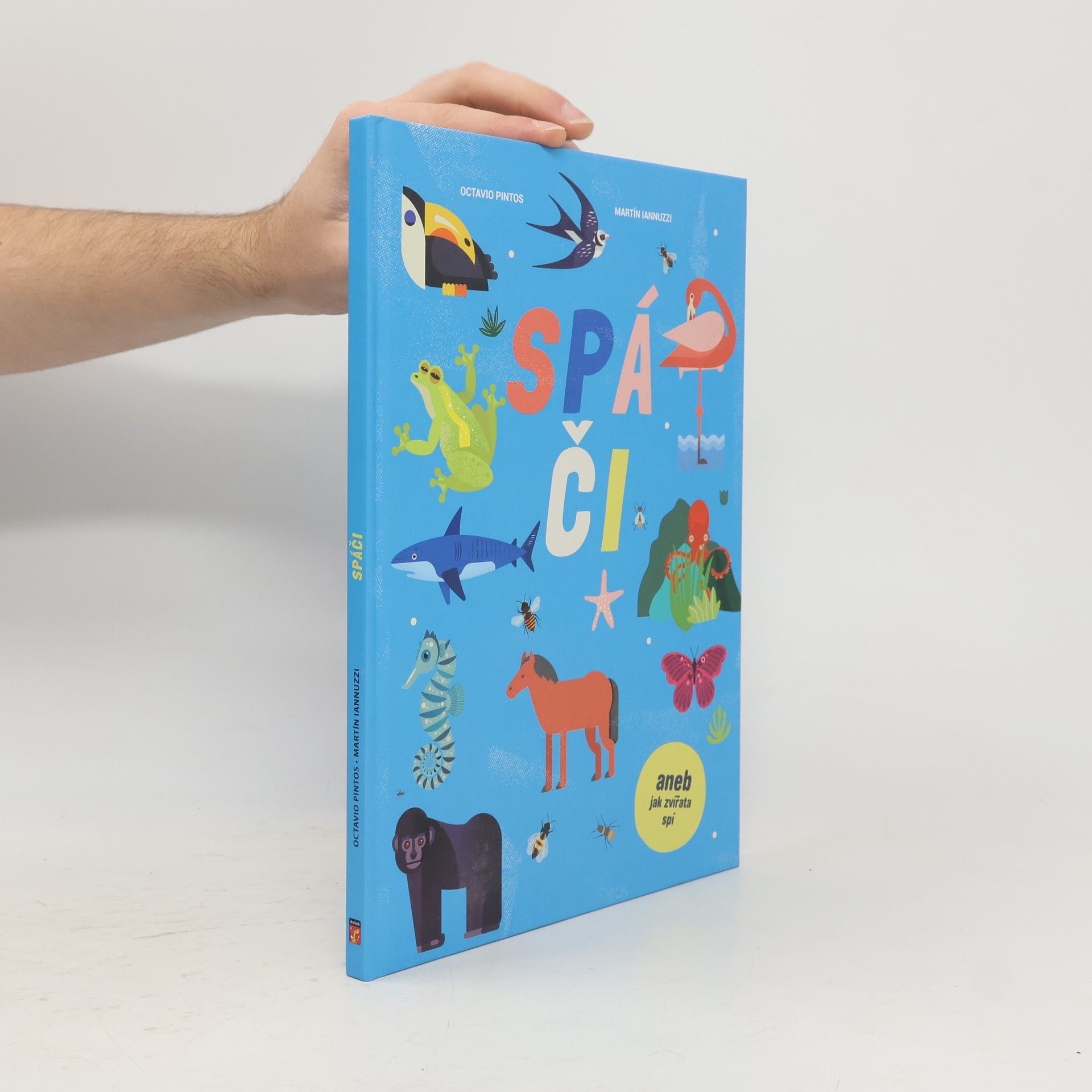 Spáči aneb jak zvířata spí