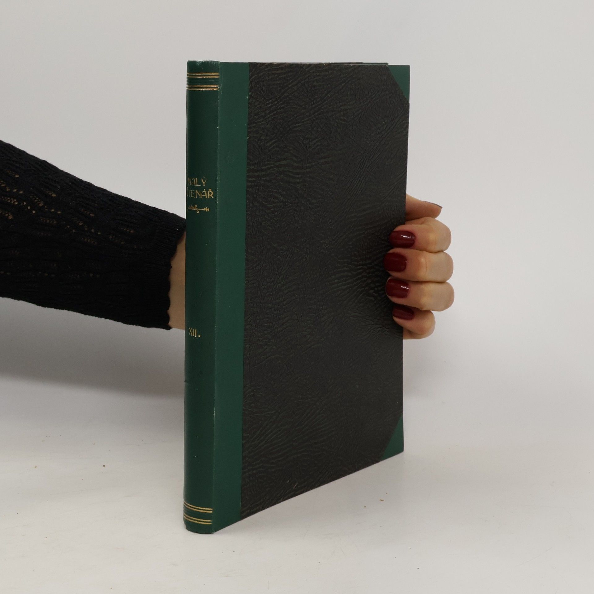 Malý Čtenář. Kniha české mládeže. Ročník XXII.