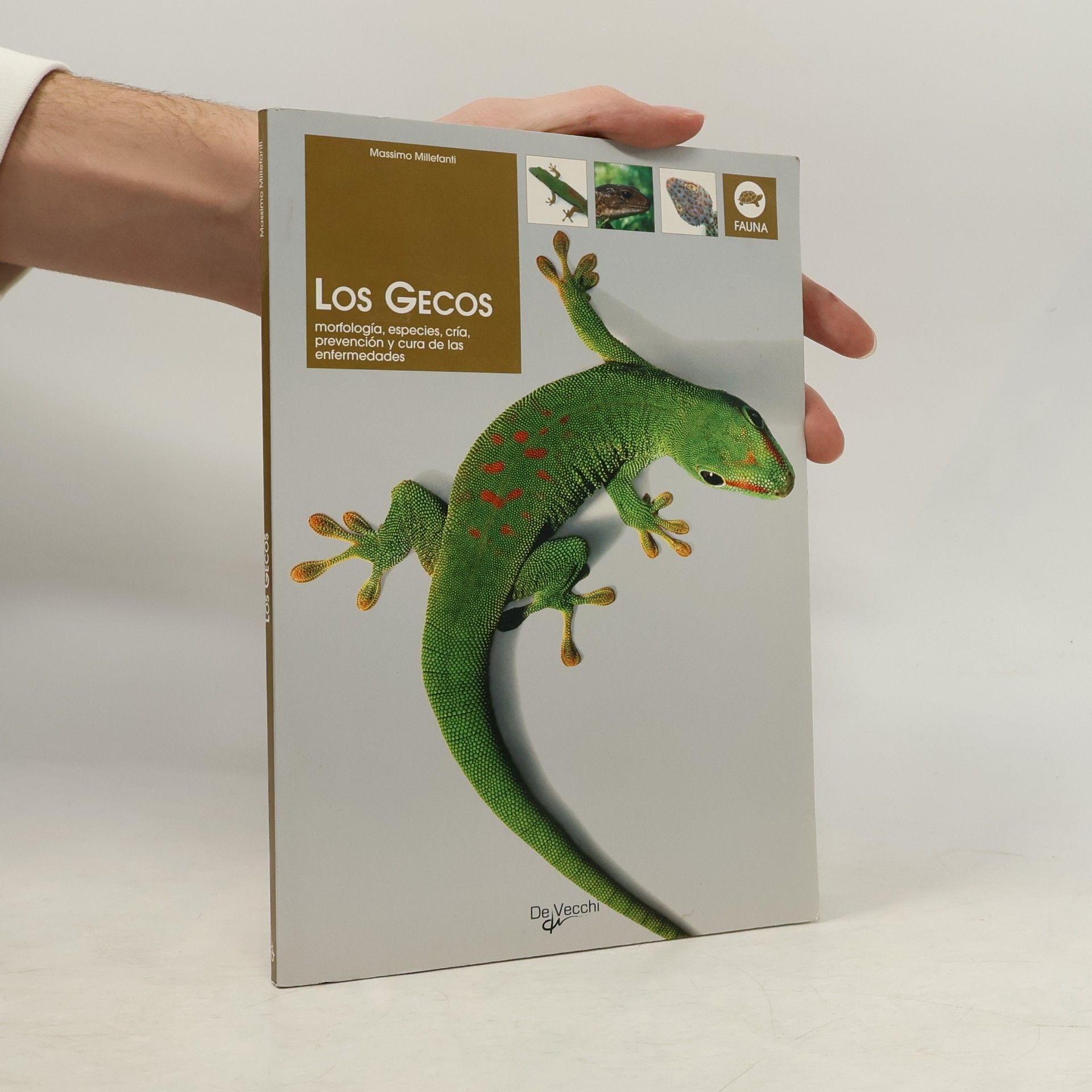 Massimo Millefanti Los Gecos