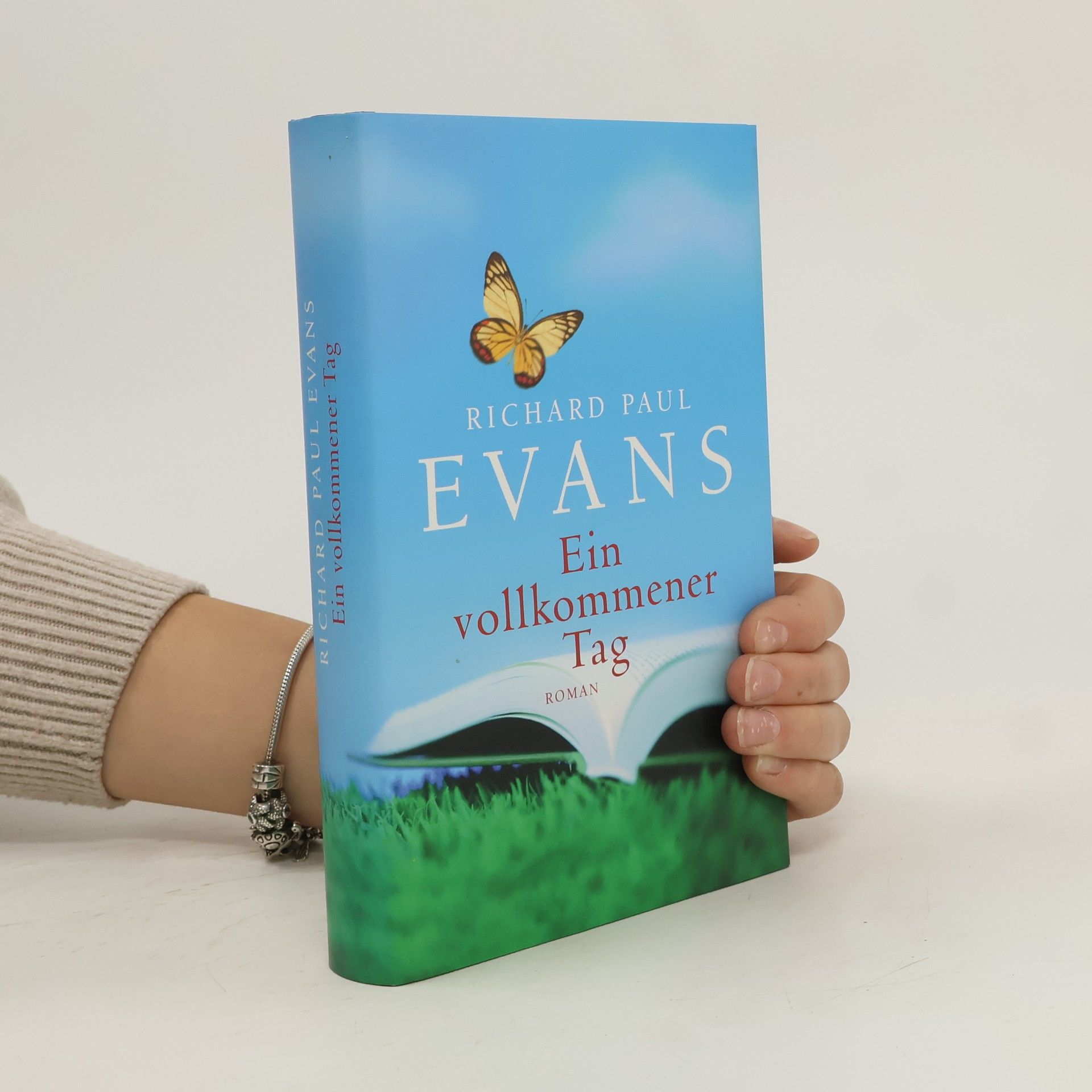 Richard Paul Evans Ein vollkommener Tag