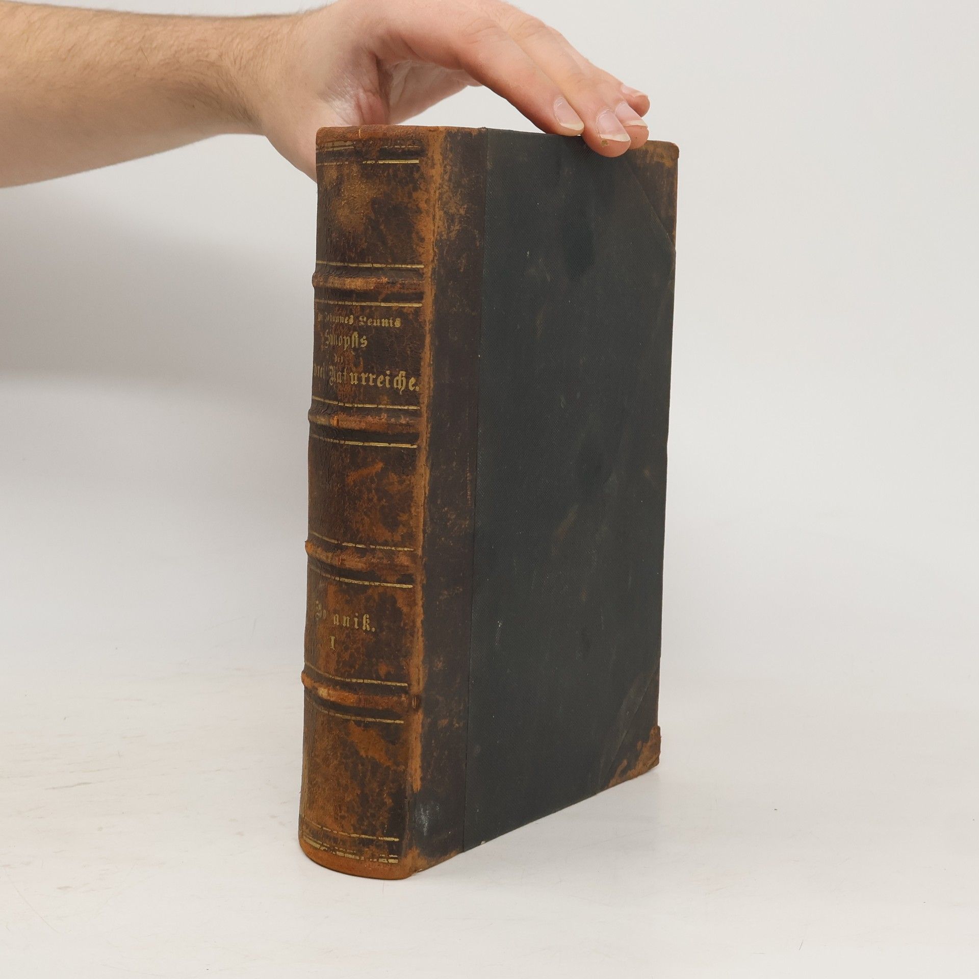 Synopsis der Pflanzenkunde