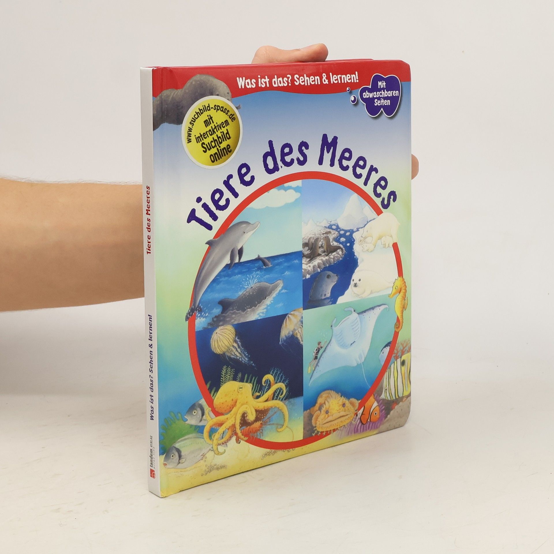 Tiere des Meeres