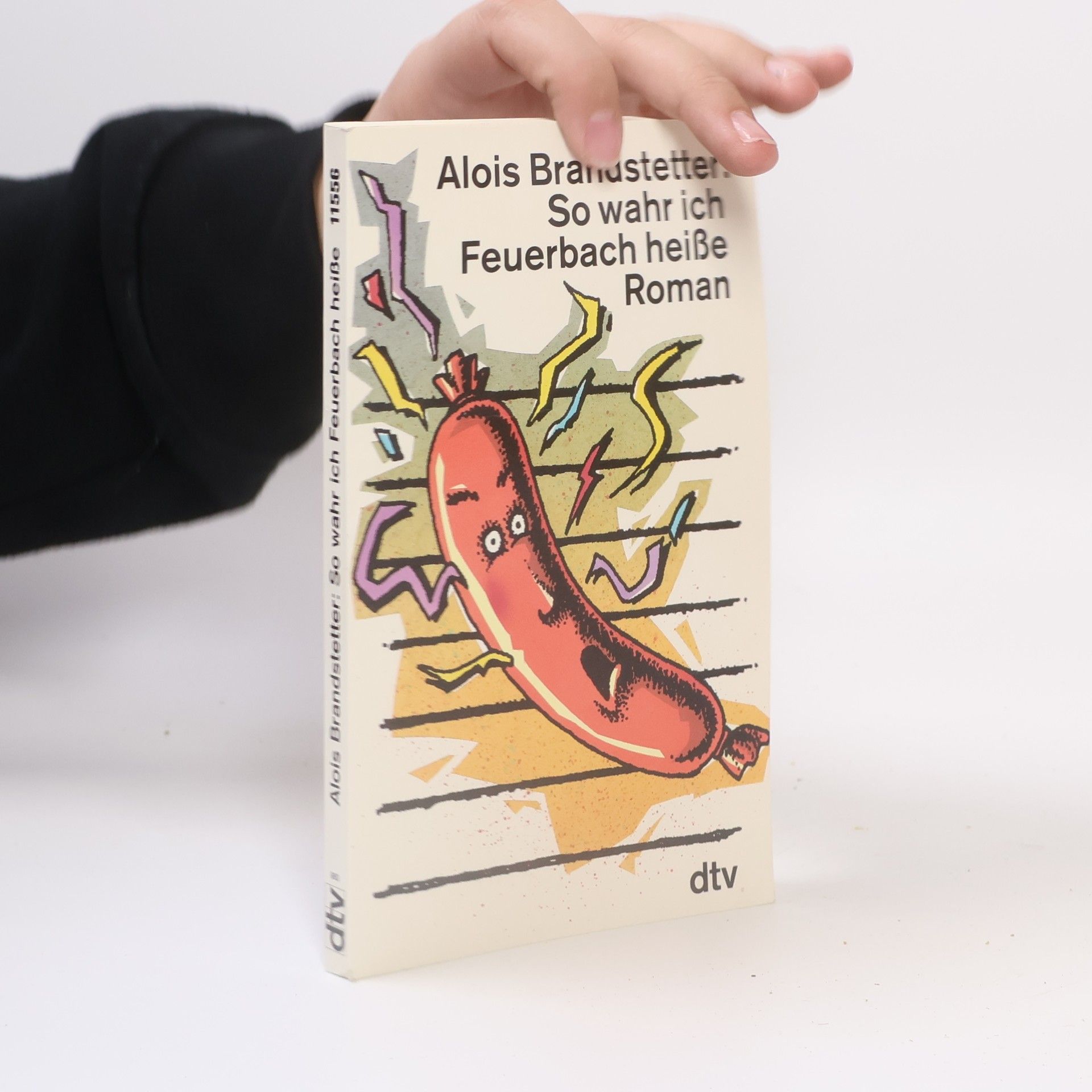 Alois Brandstetter So wahr ich Feuerbach heisse : Roman