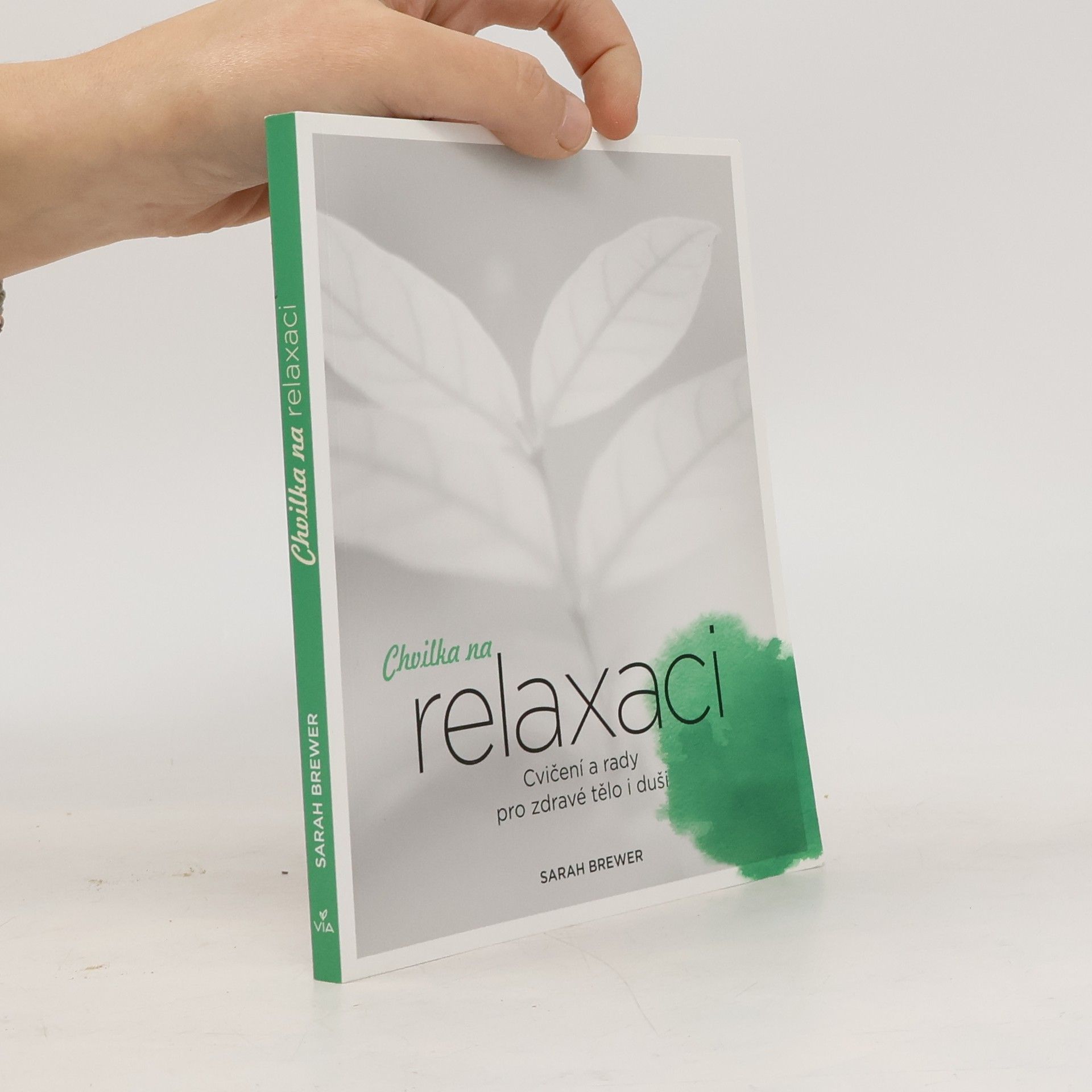 Sarah Brewer Chvilka na relaxaci: Cvičení a rady pro zdravé tělo i duši