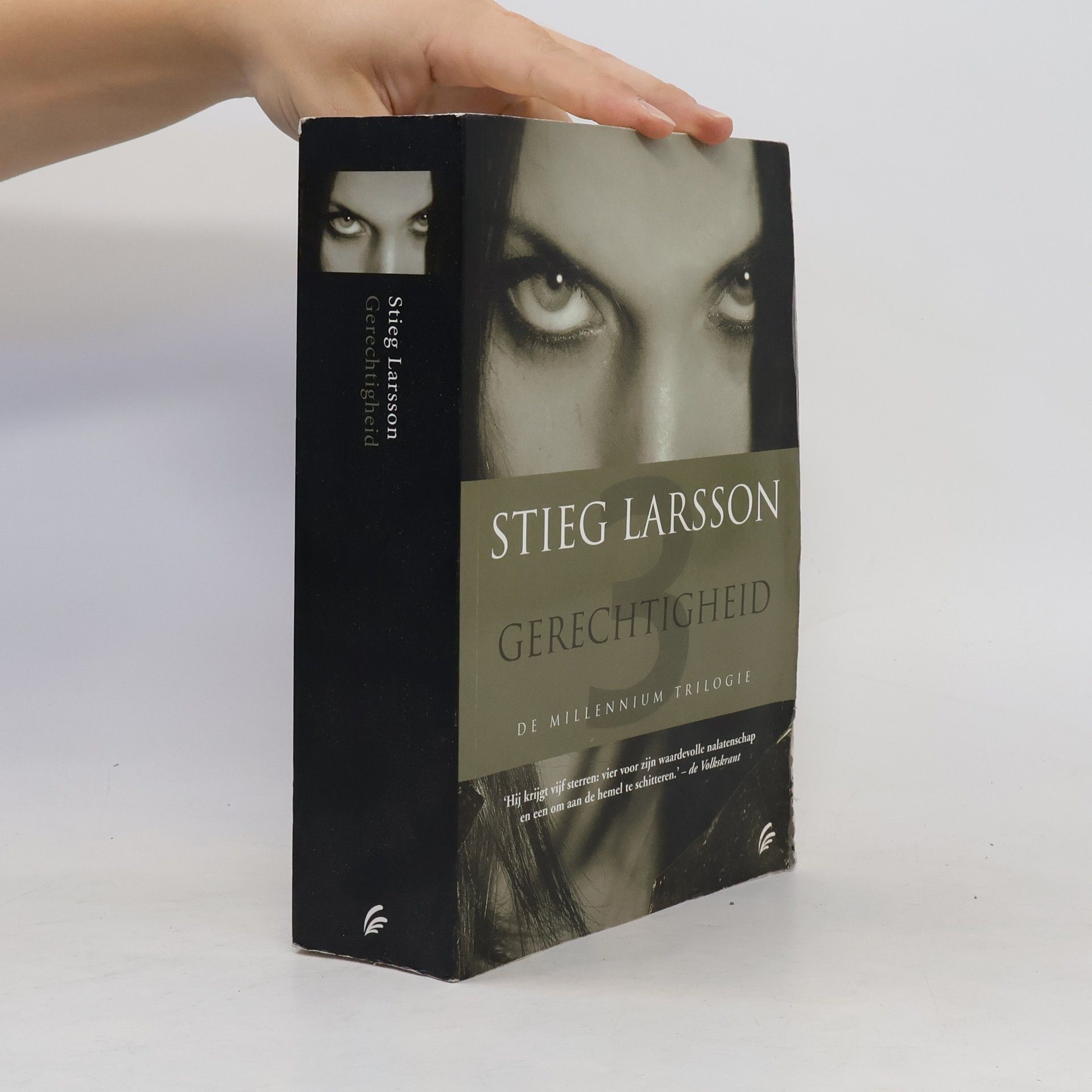 Stieg Larsson Gerechtigheid