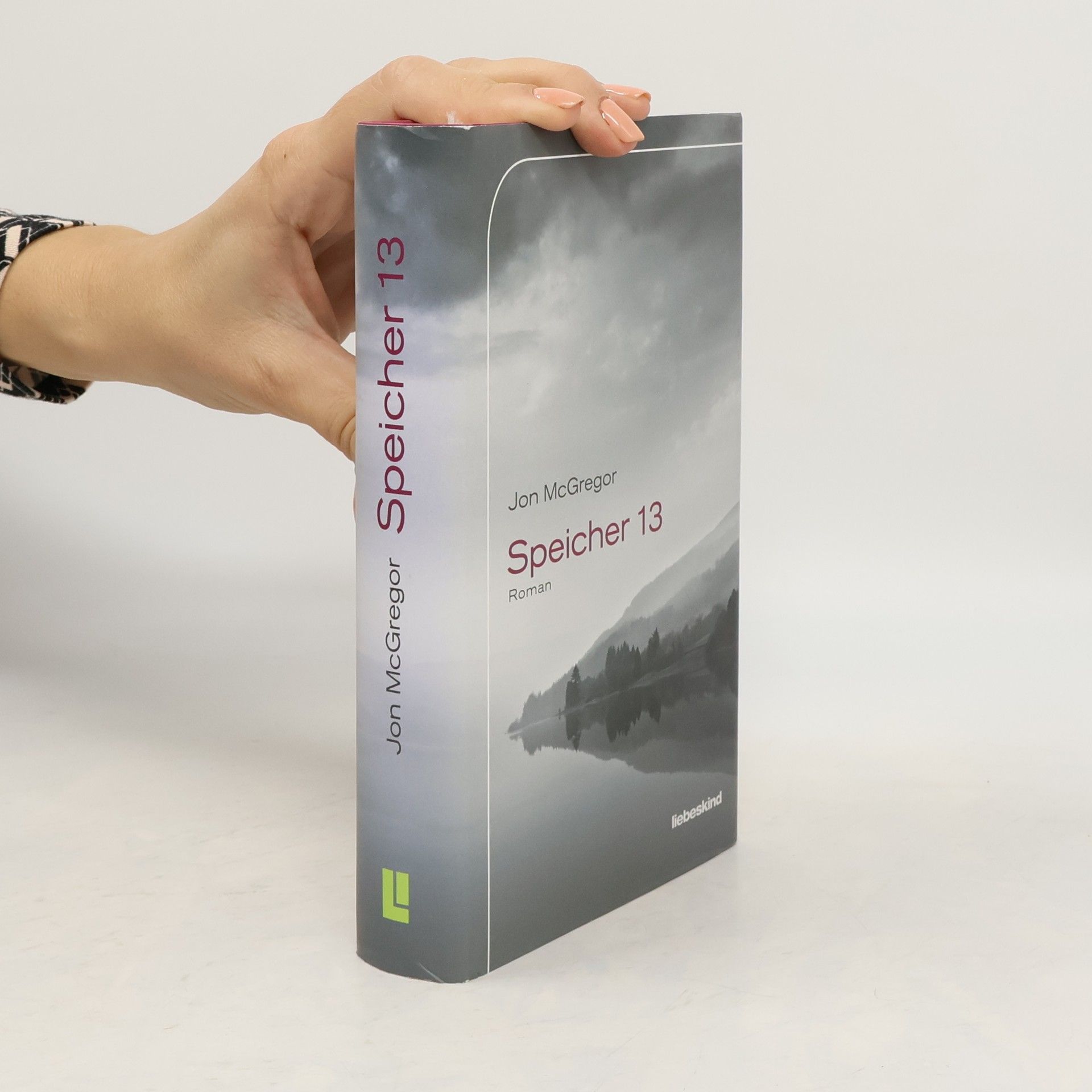 Jon McGregor Speicher 13