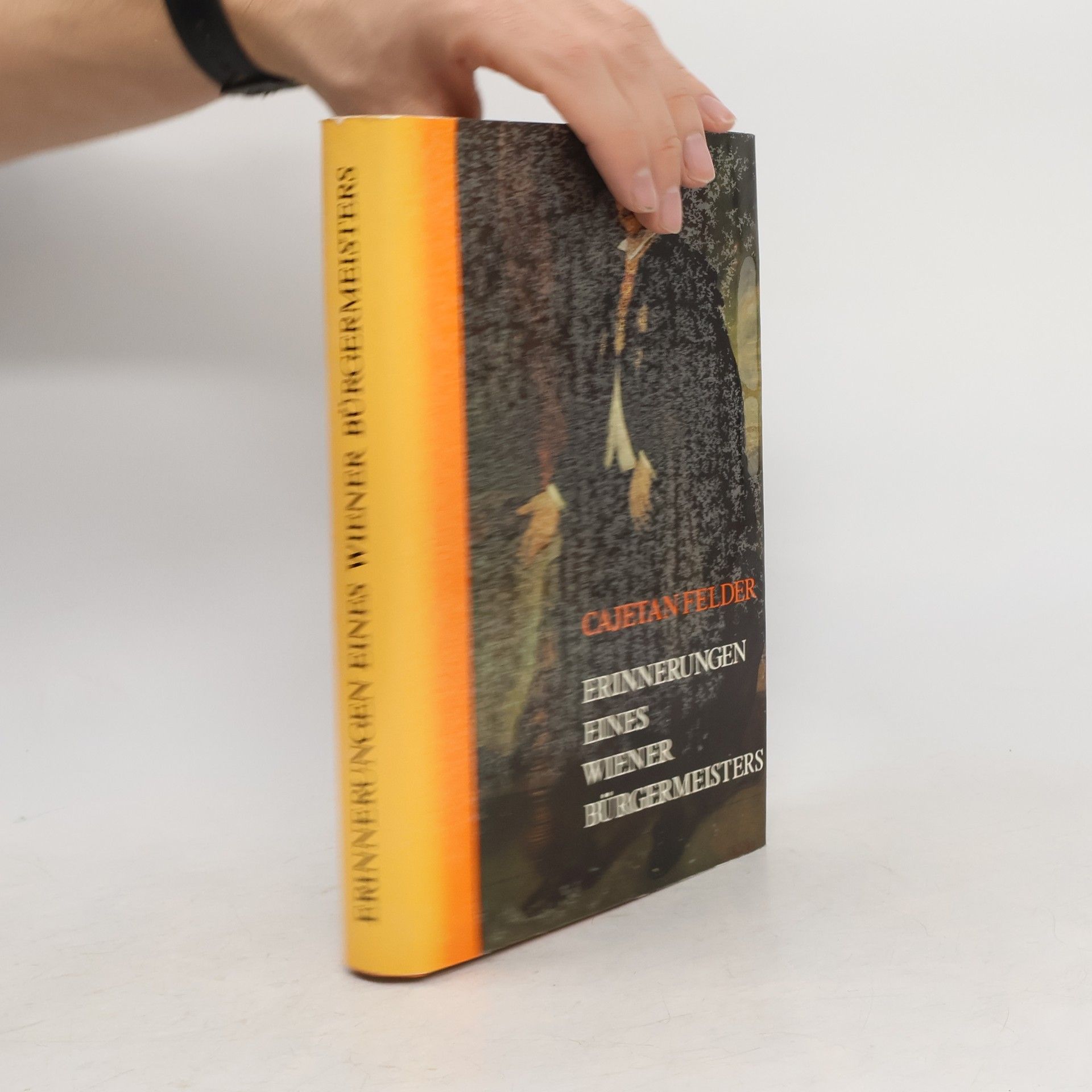 Cajetan Felder Erinnerungen eines Wiener Bürgermeisters