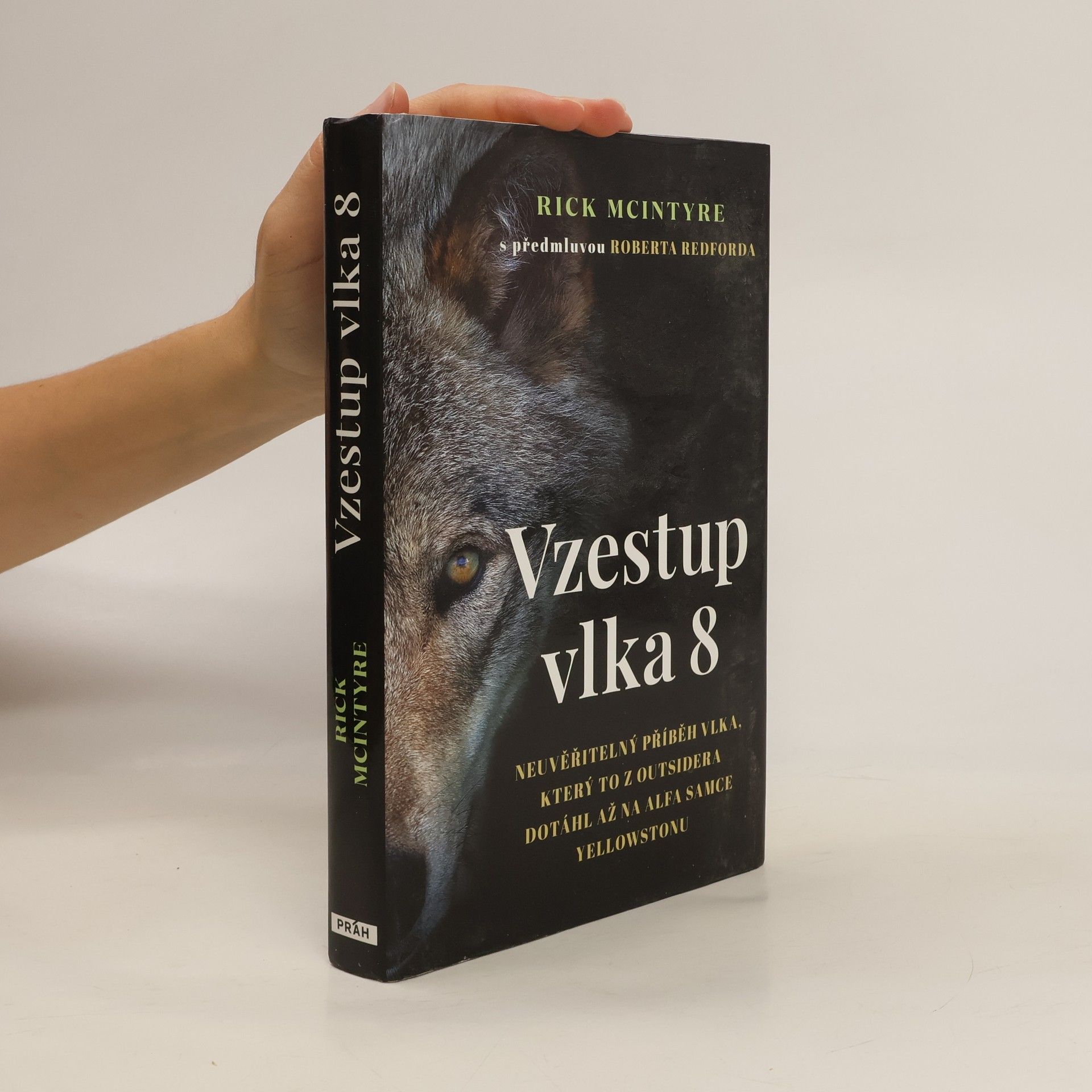 Rick McIntyre Vzestup vlka 8