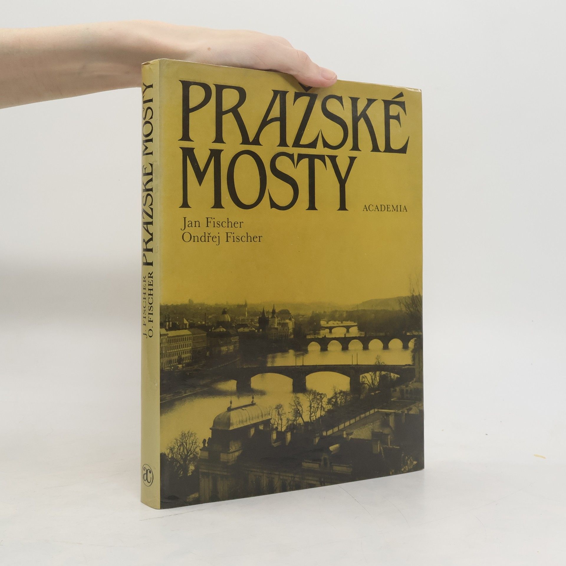Ondřej Fischer Pražské mosty