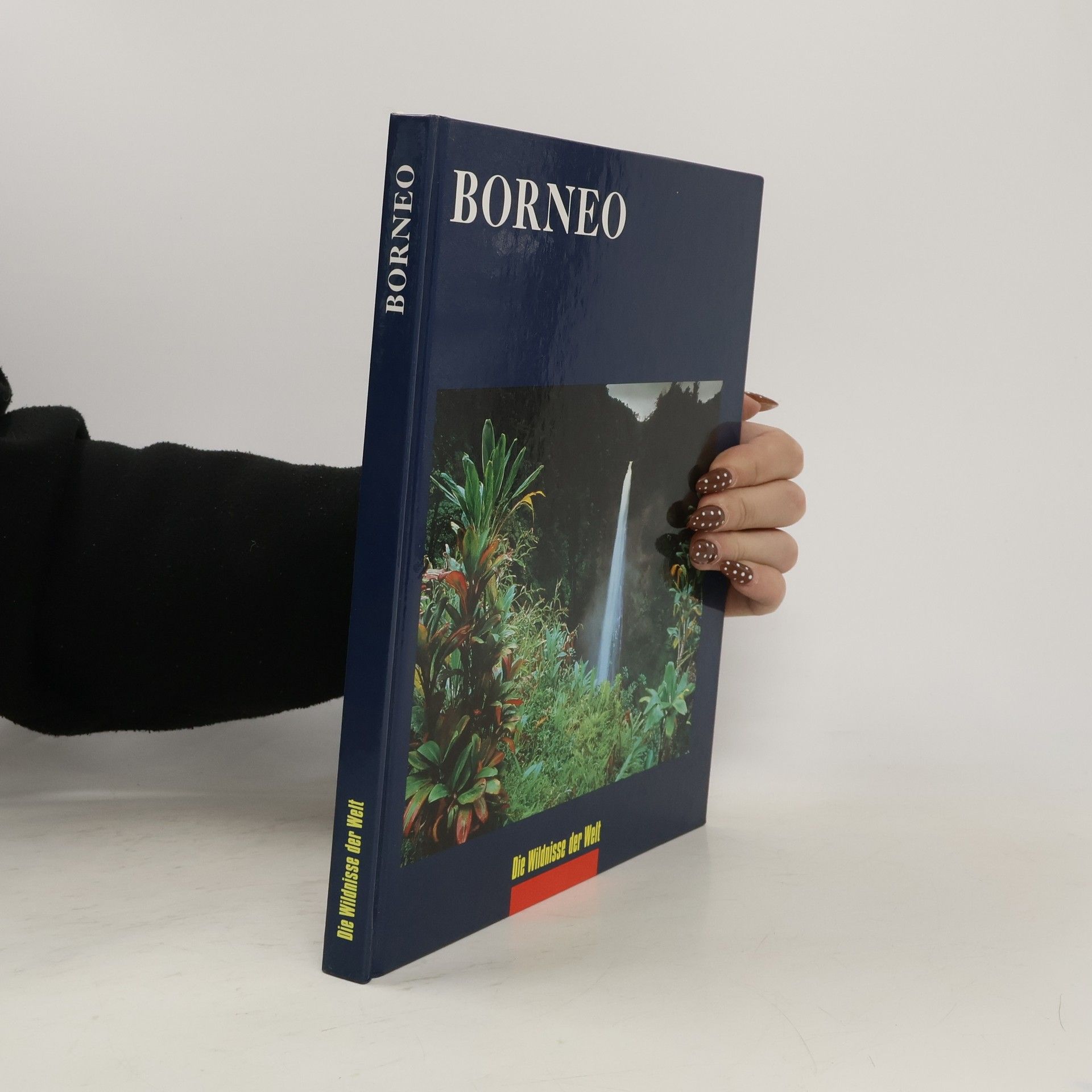 John Mackinnon Borneo. Die Wildnisse der Welt