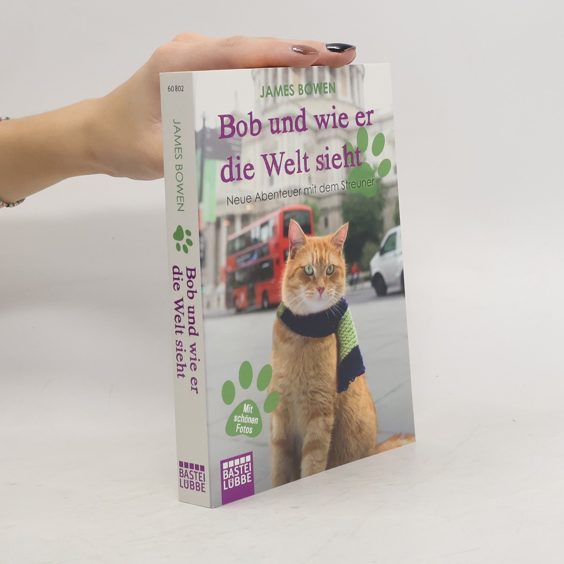 James Bowen Bob und wie er die Welt sieht