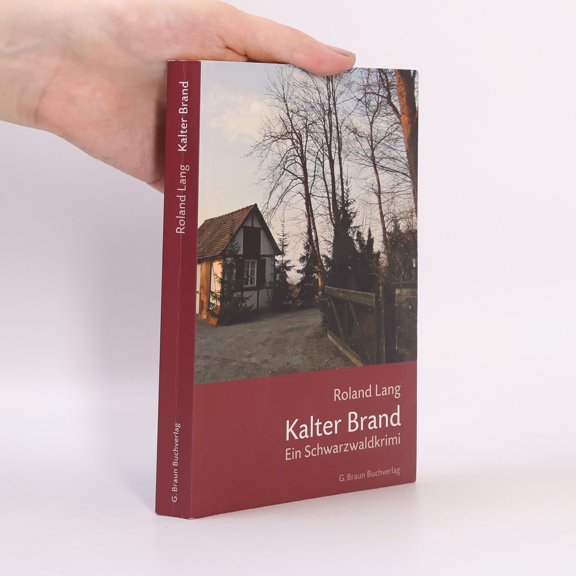 Kalter Brand. Ein Schwarzwaldkrimi