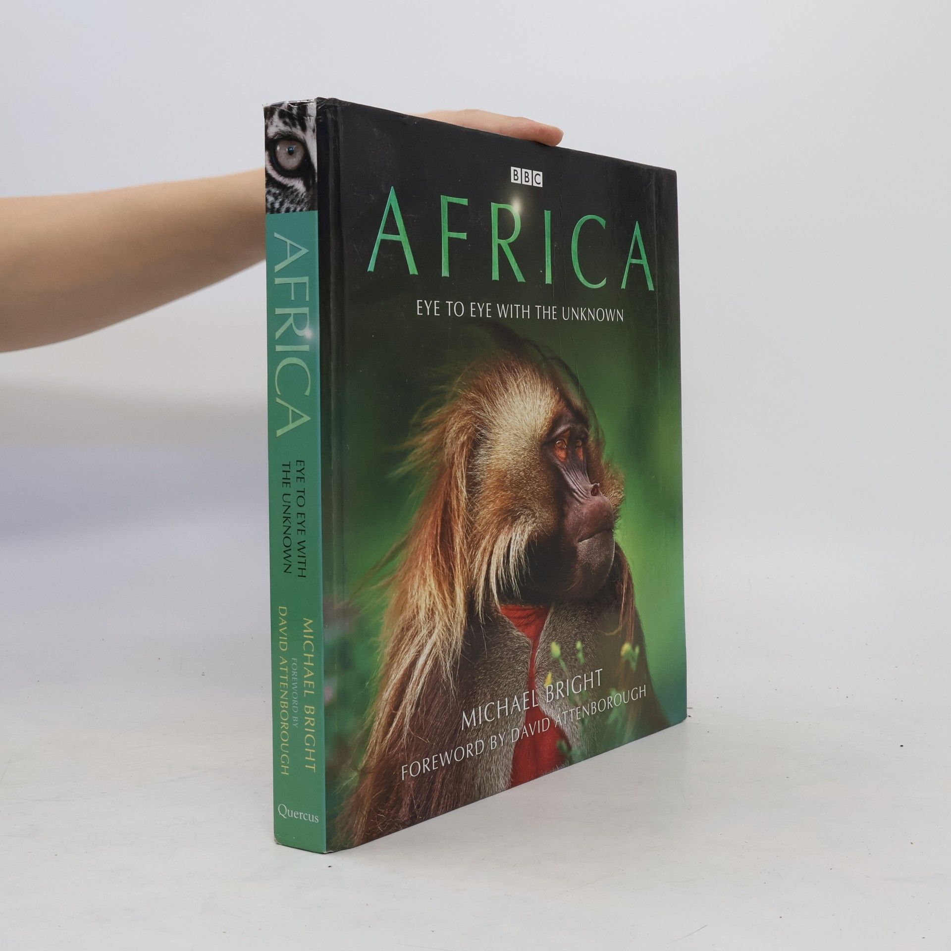 Michael Bright Africa