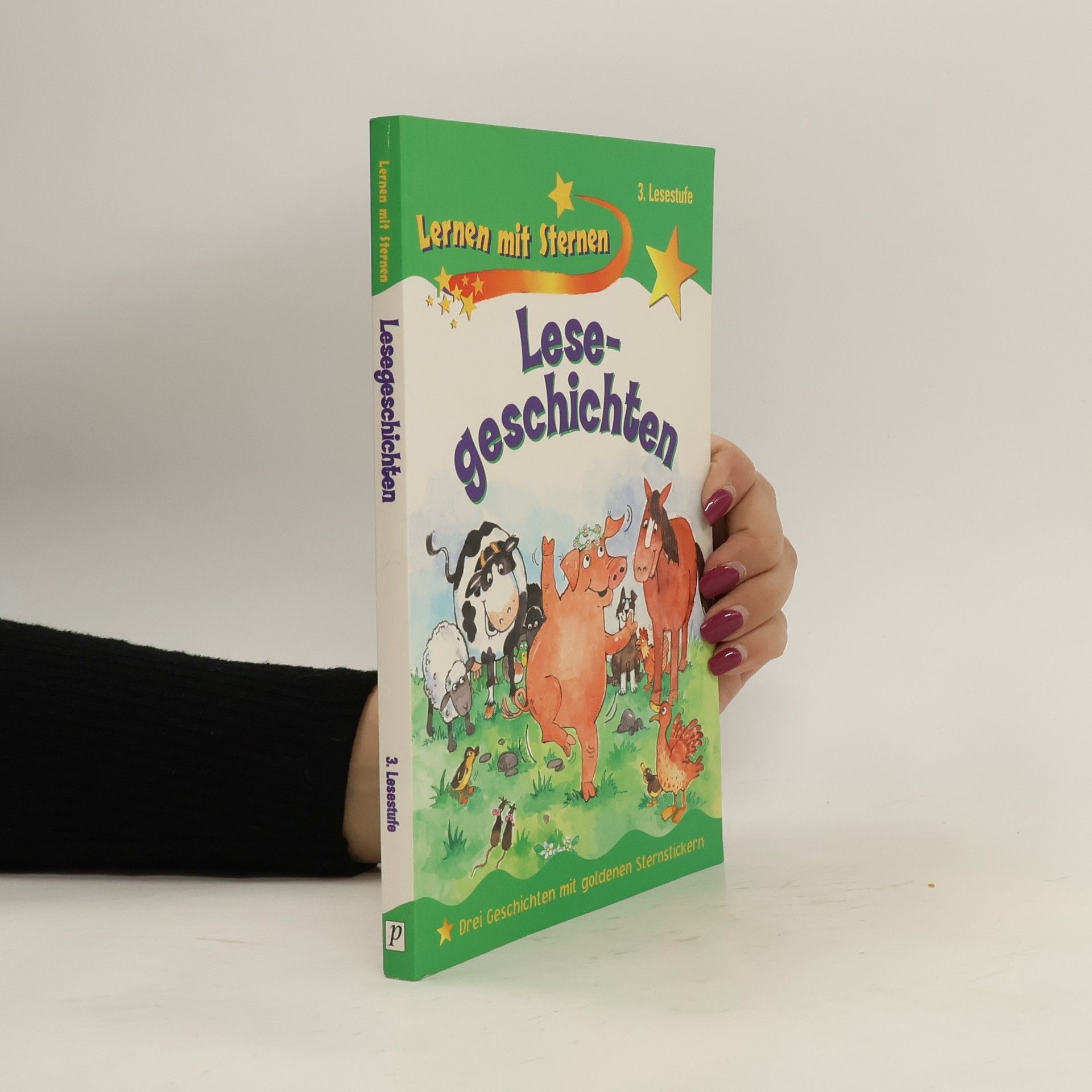 Collectif d'auteurs Lesegeschichten. Lernen mit Sternen