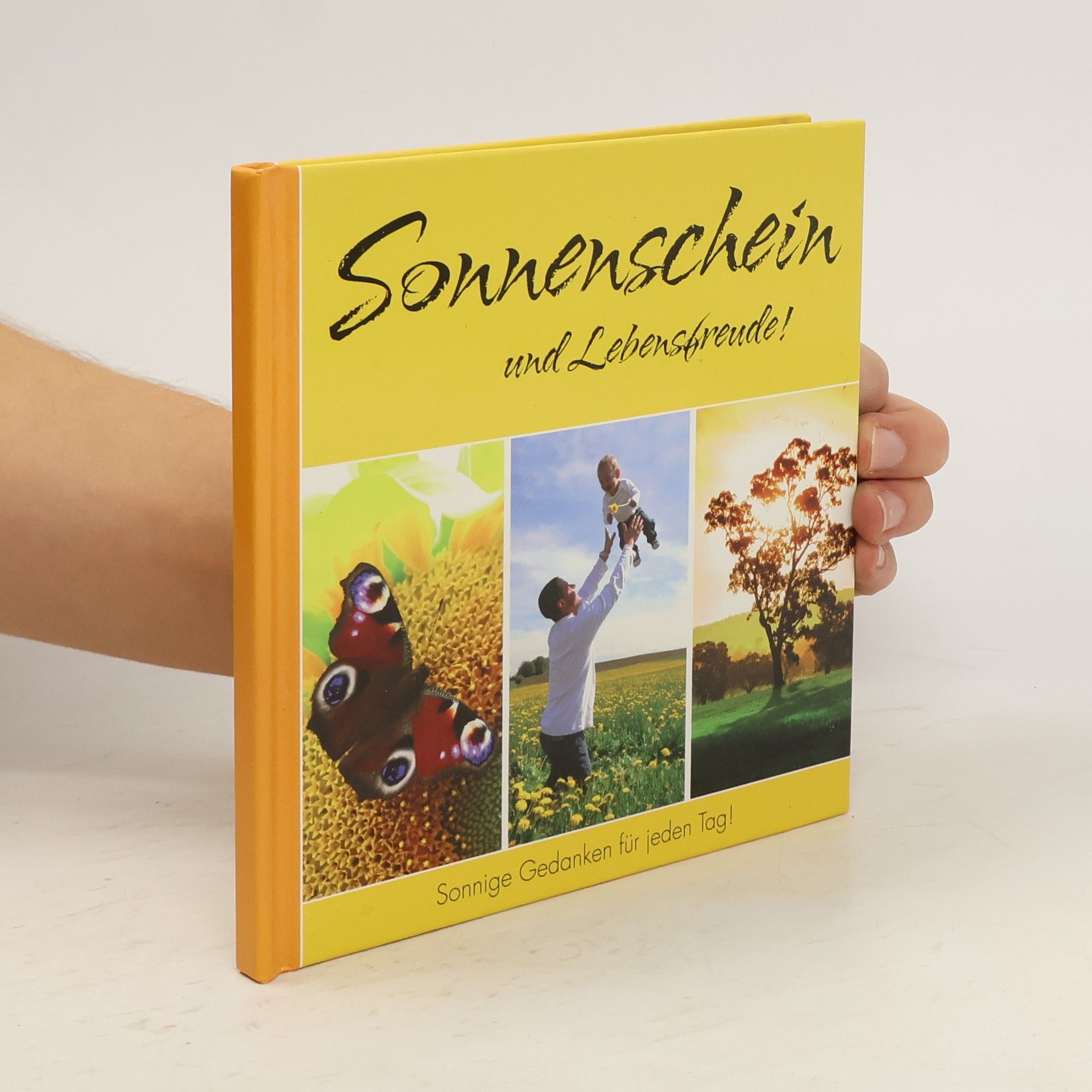 Autorenkollektiv Sonnenschein und Lebensfreude!