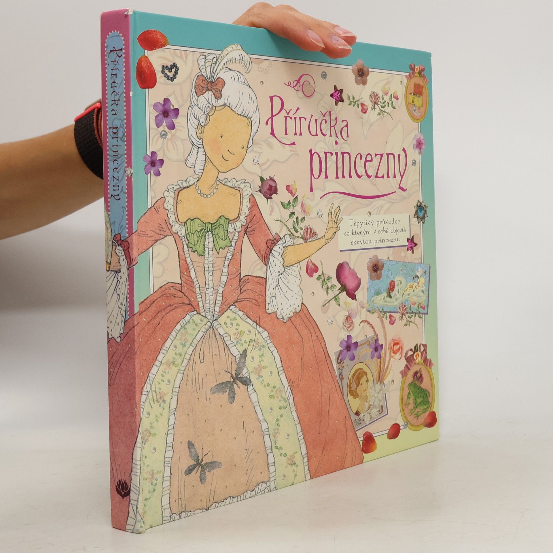 Auteurscollectief Příručka princezny