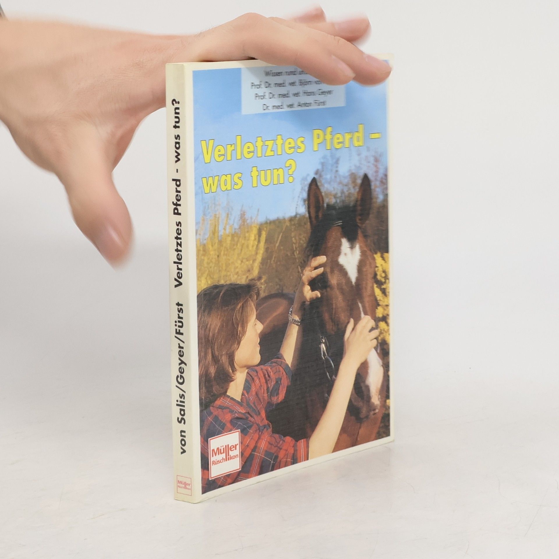 Verletztes Pferd - was tun?