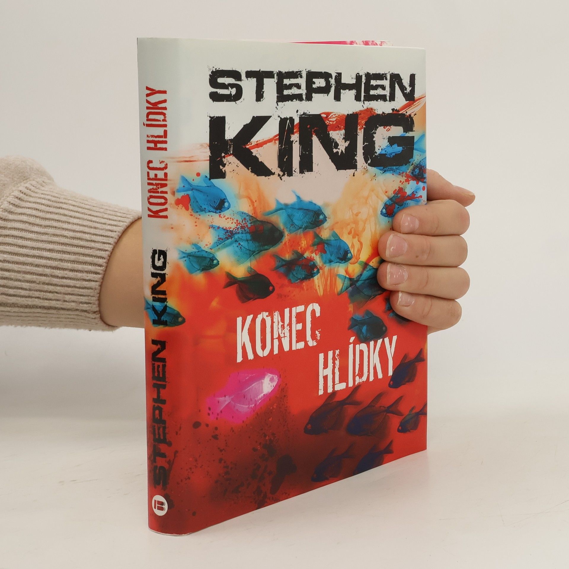 Stephen King Konec hlídky