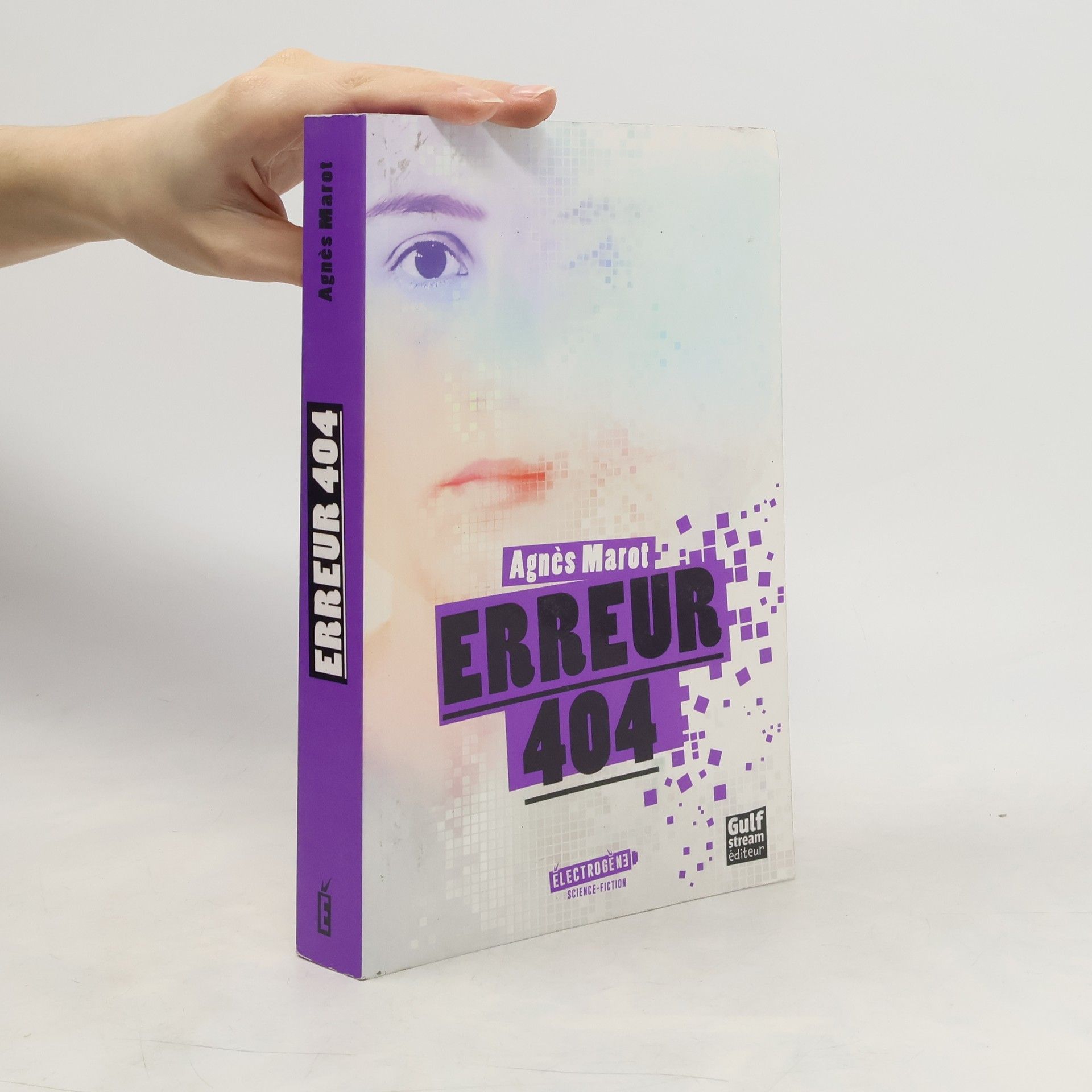 Agnès Marot Erreur 404