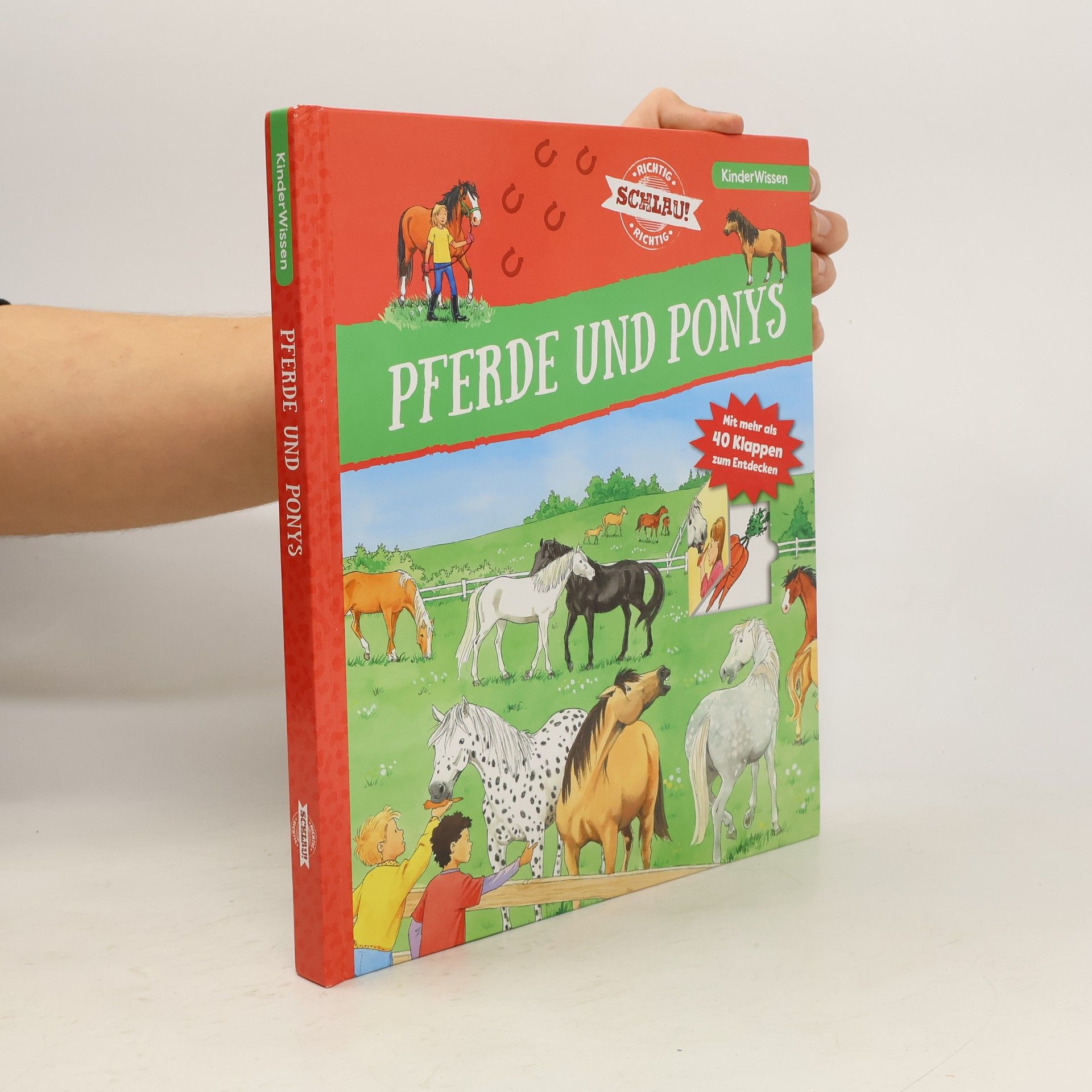 Carola von Kessel Pferde und Ponys