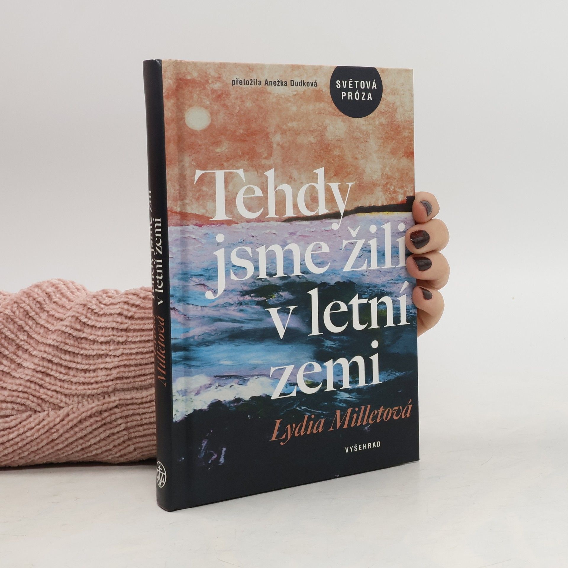 Lydia Millet Tehdy jsme žili v letní zemi