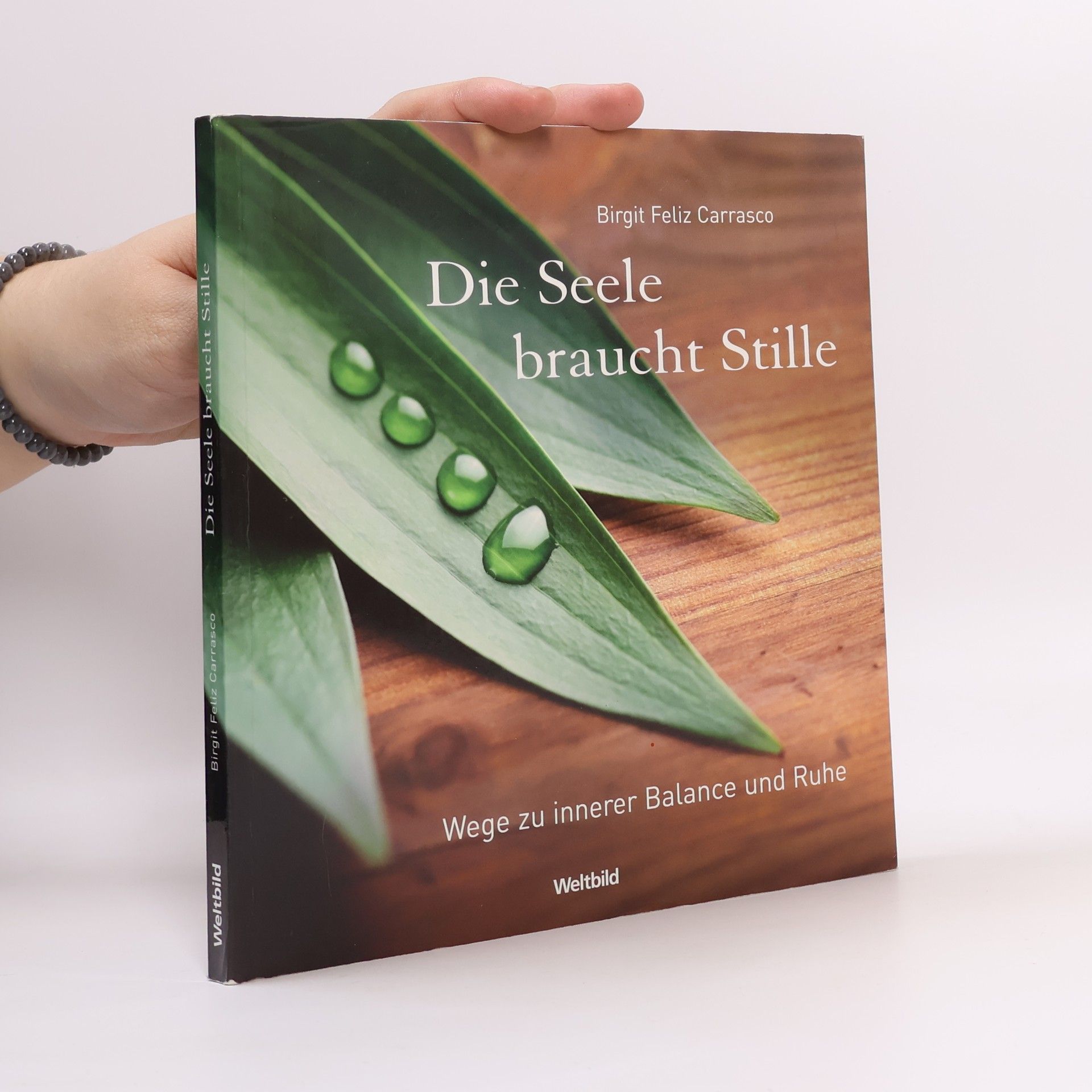 AA.VV. Die Seele braucht Stille