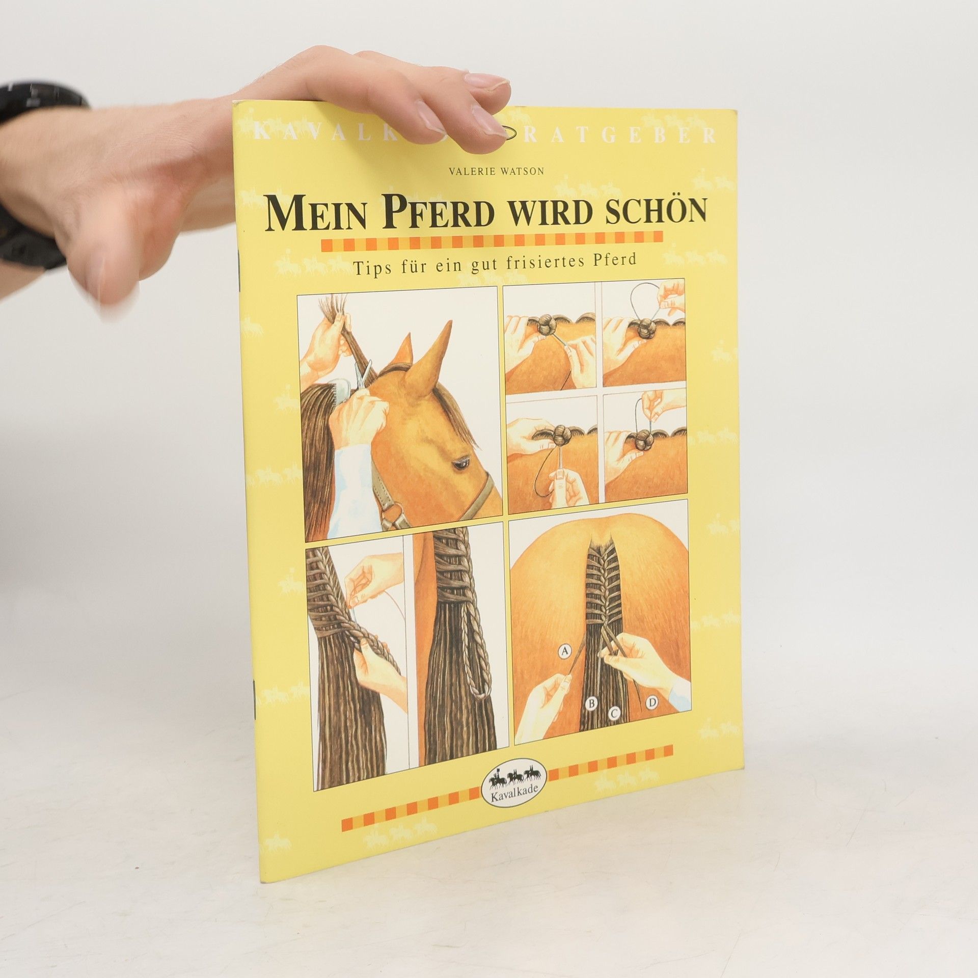 Valerie Watson Mein Pferd wird schön