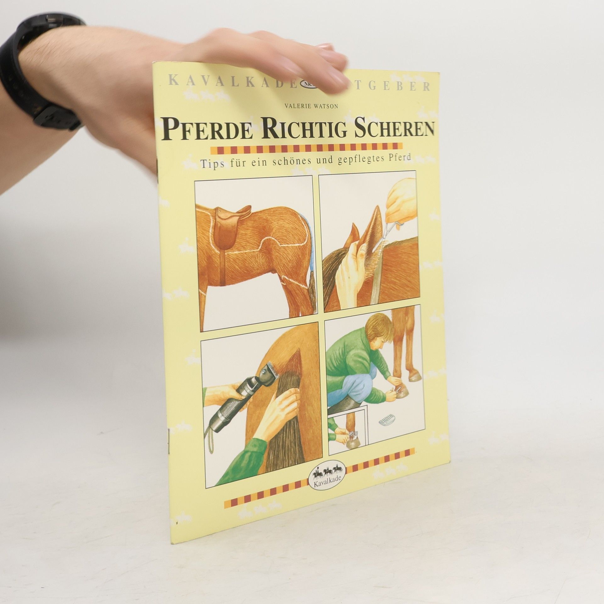 Valerie Watson Pferde richtig scheren