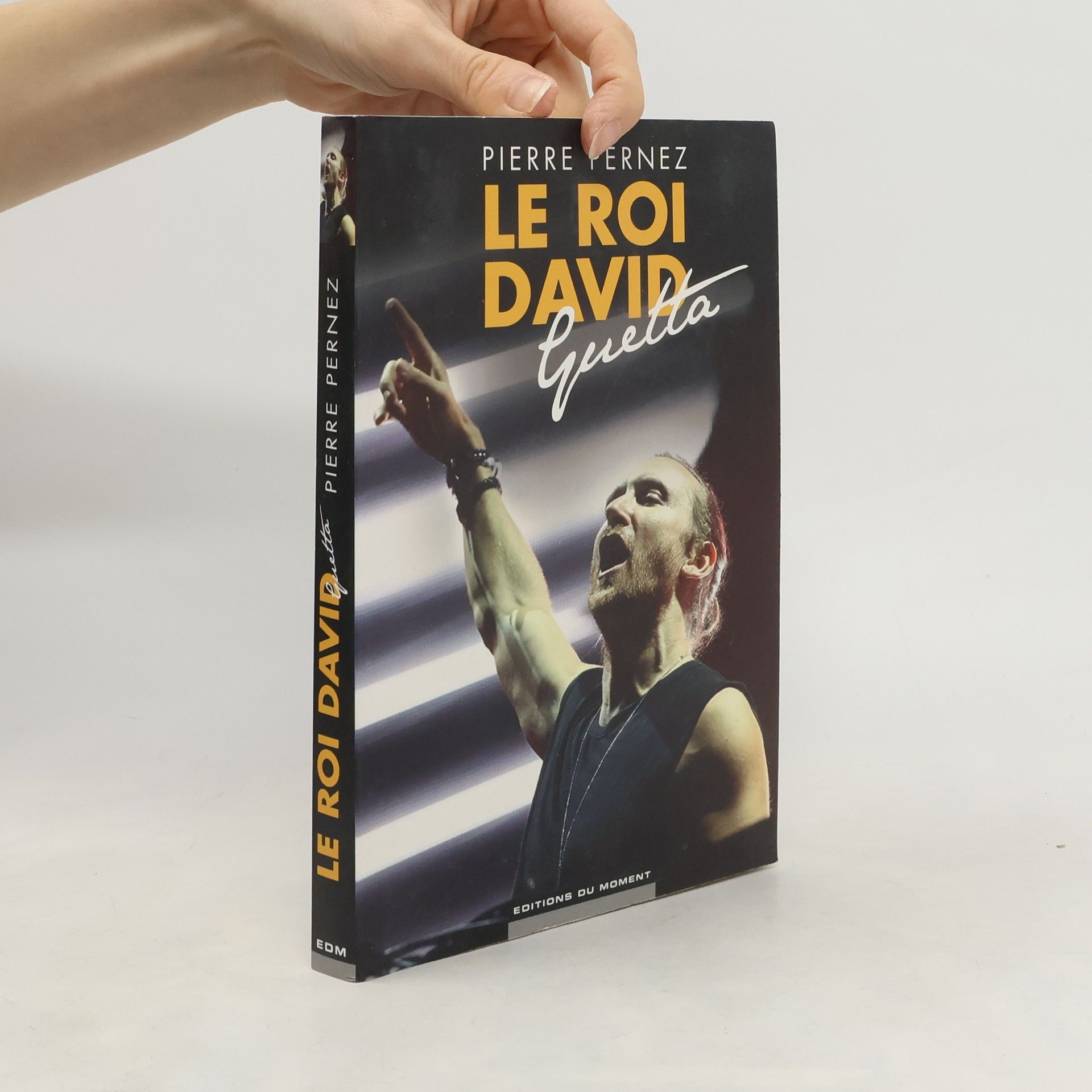 Pierre Pernez Le roi David Guetta