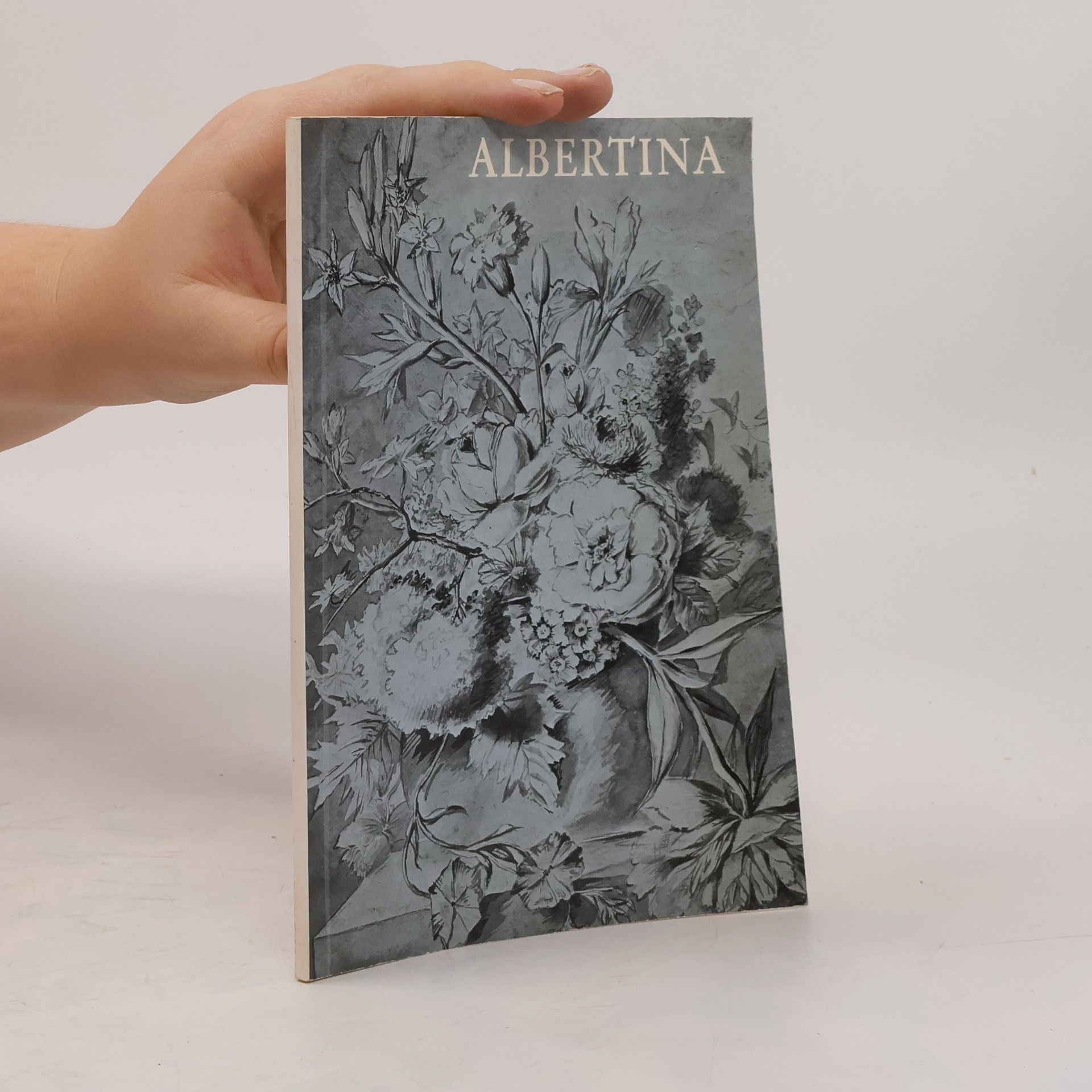 Auteurscollectief Meisterzeichnungen der Albertina