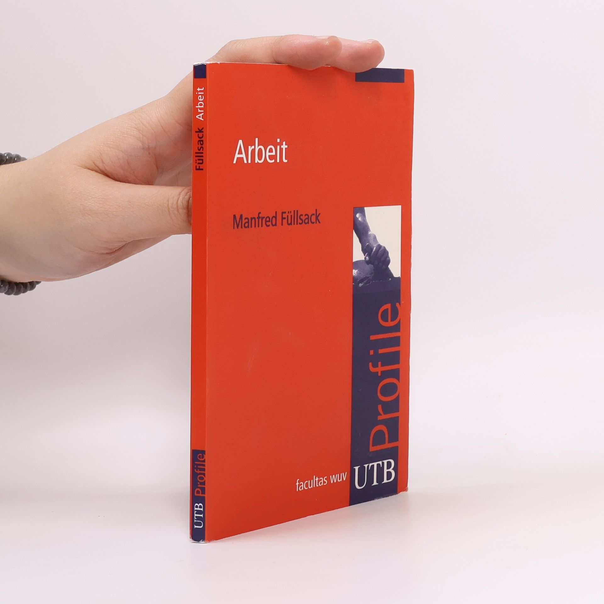 Manfred Füllsack Arbeit