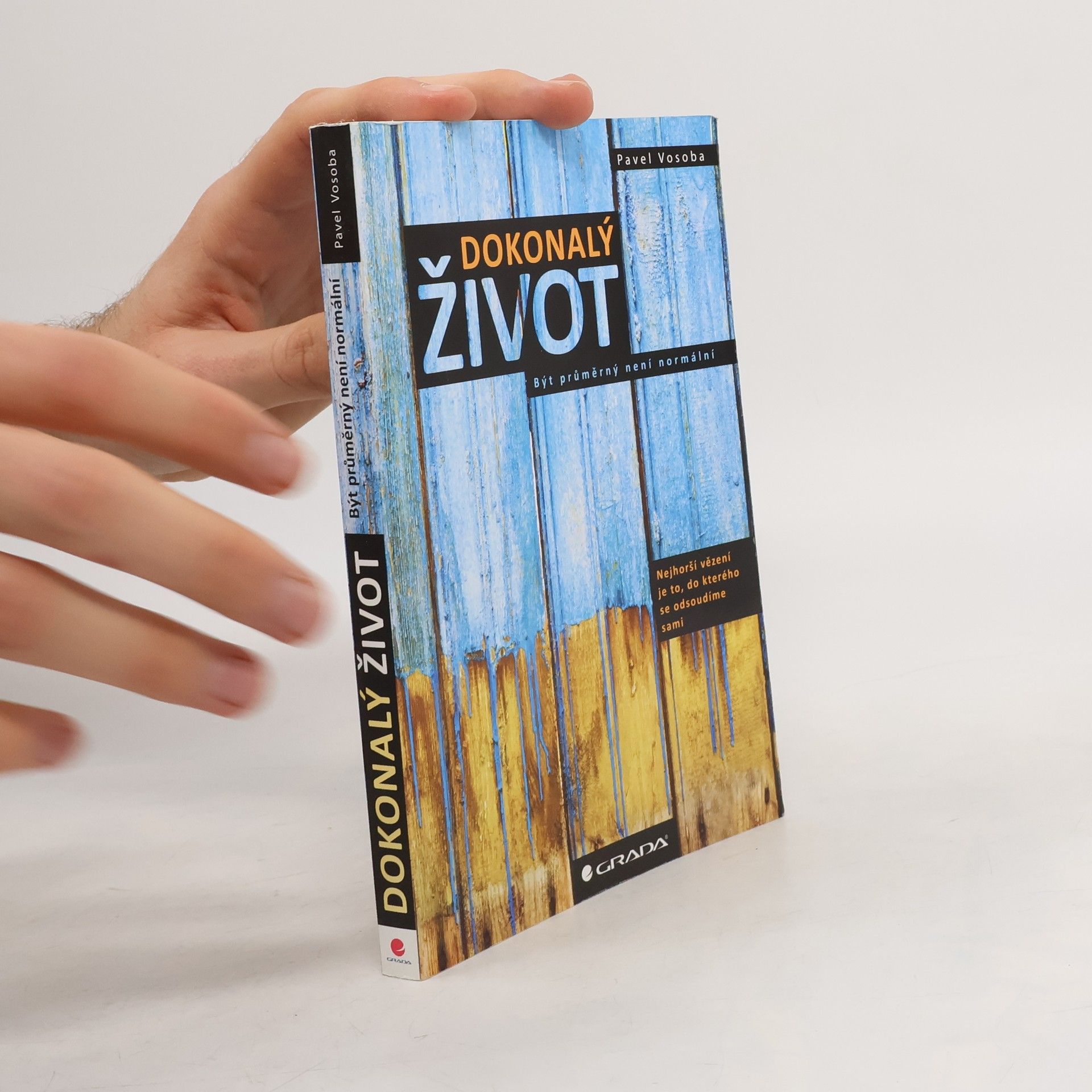 Dokonalý život : být průměrný není normální