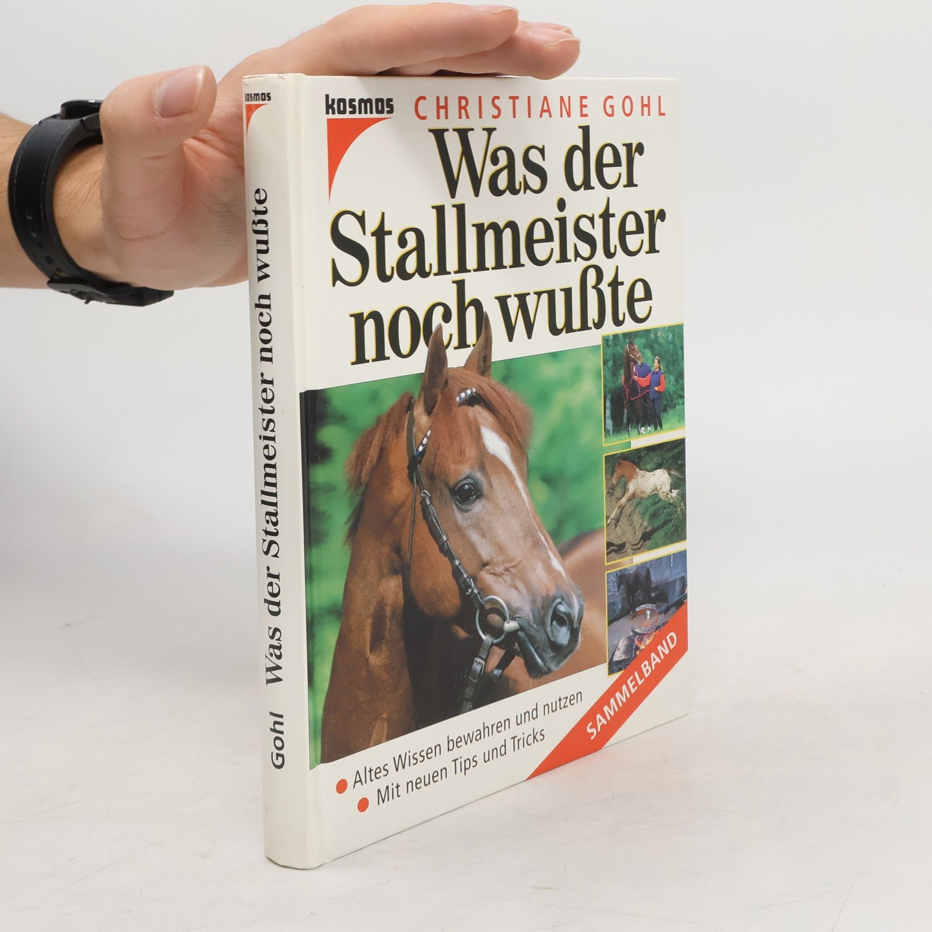 Christiane Gohl Was der Stallmeister noch wußte