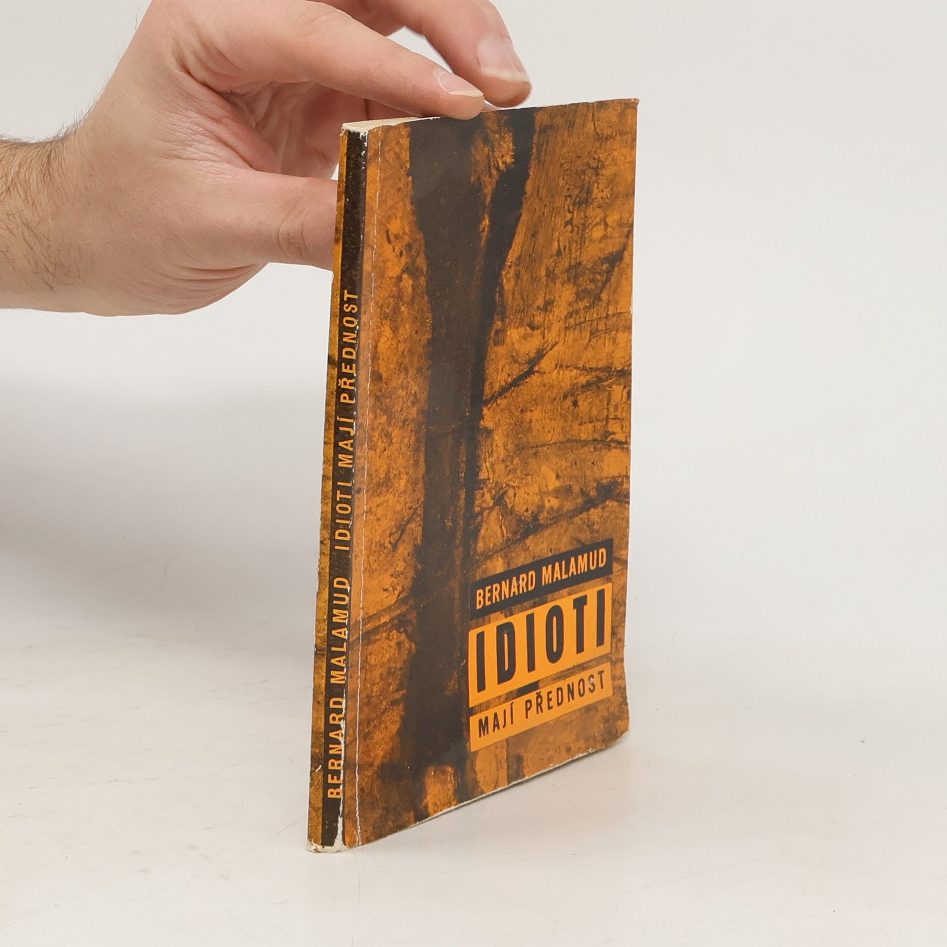 Bernard Malamud Idioti mají přednost