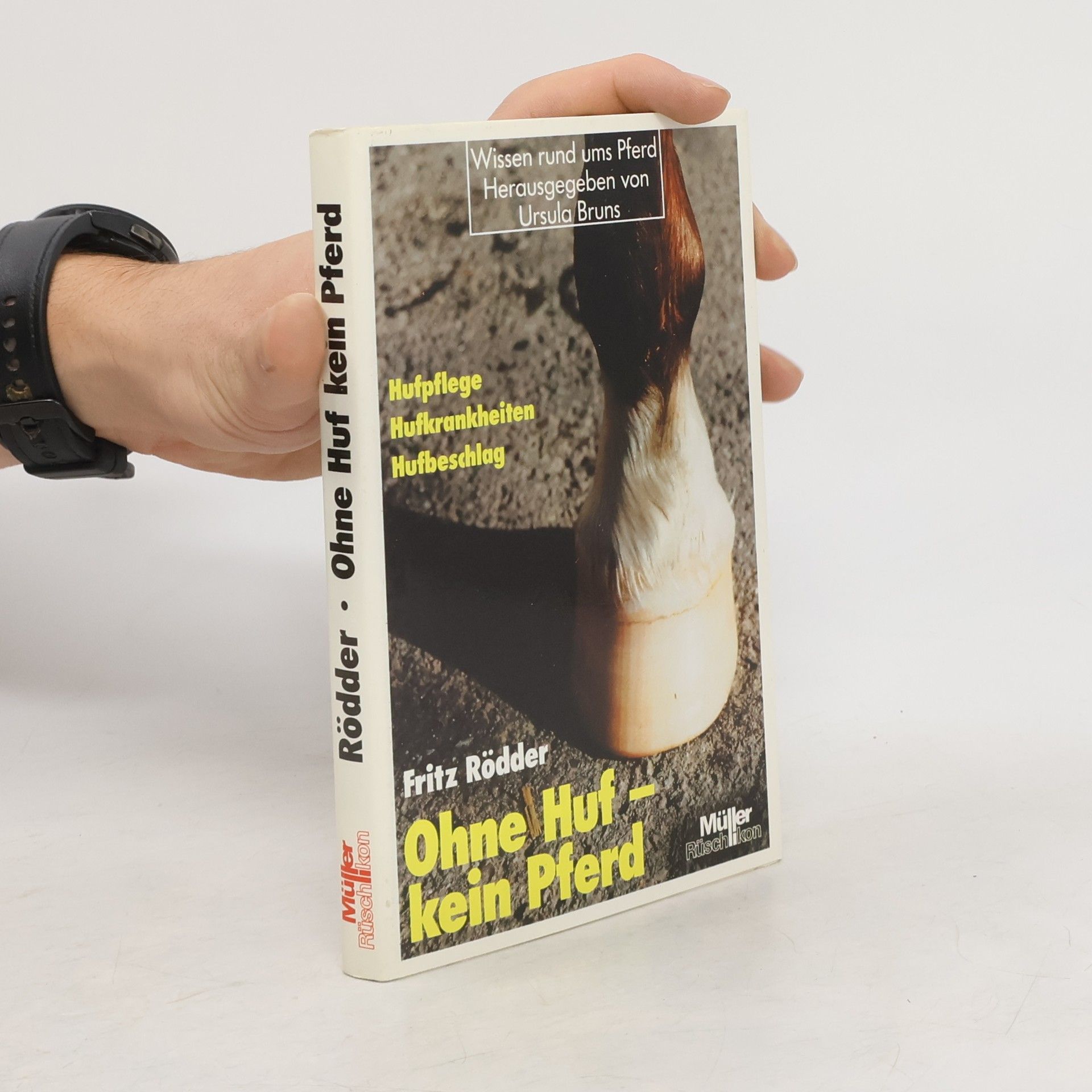 Ohne Huf kein Pferd