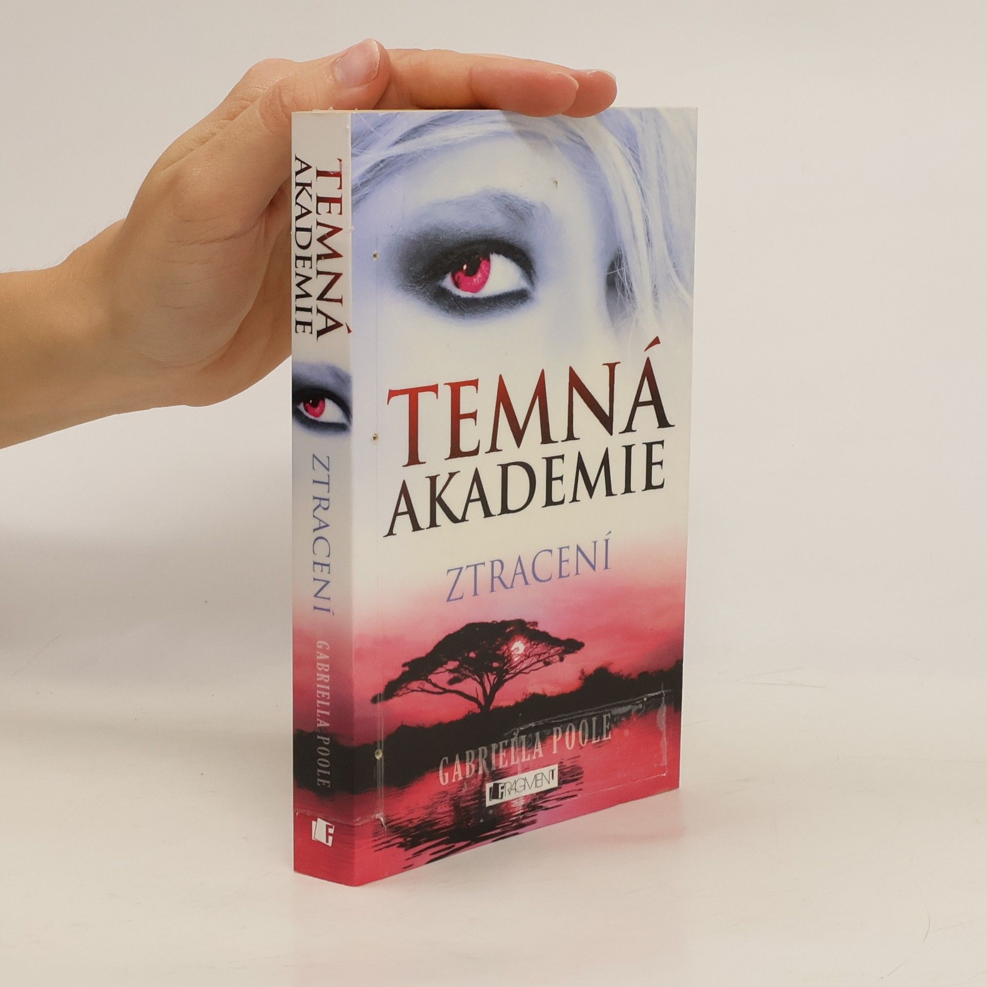 Temná akademie. Ztracení