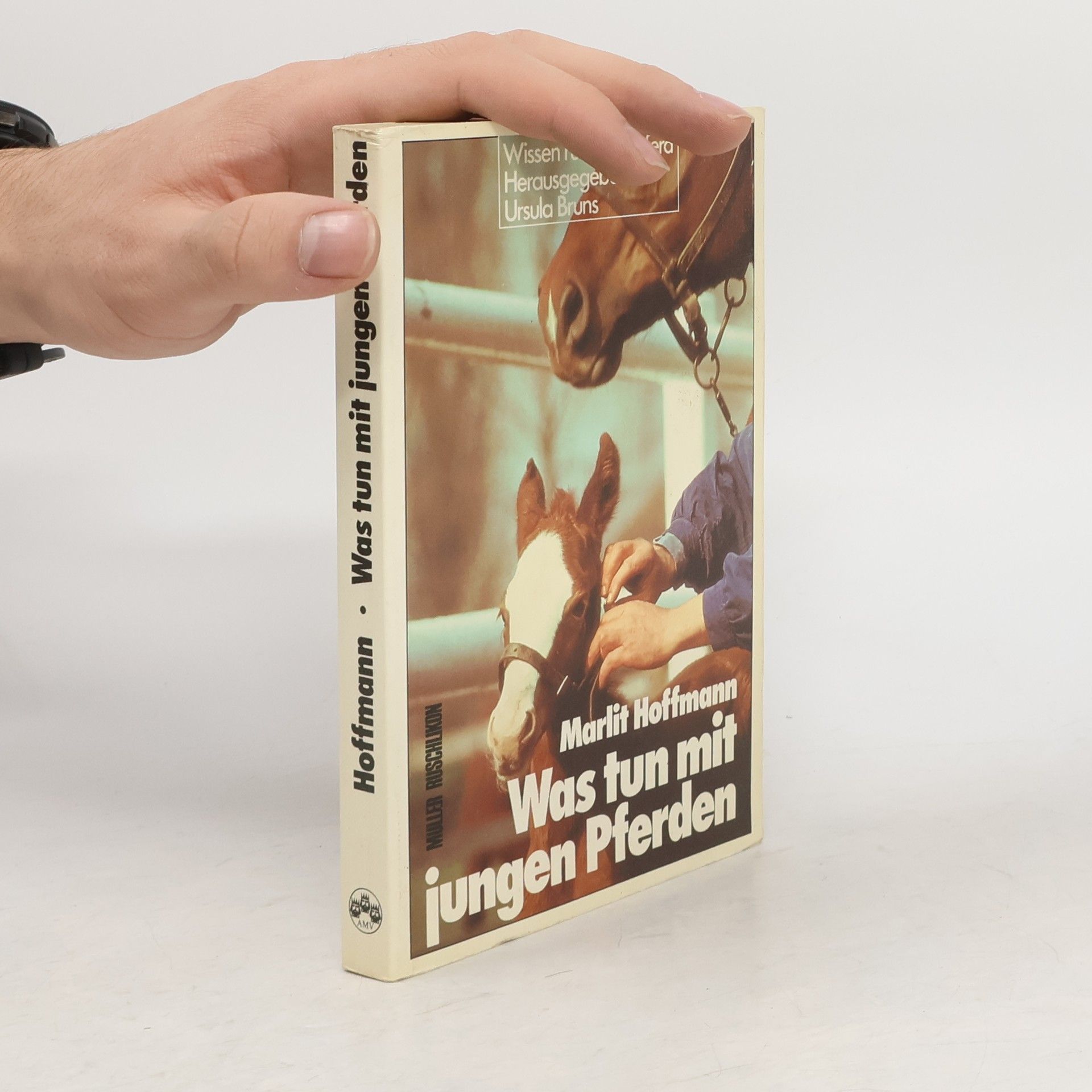 Marlit Hoffmann Was tun mit jungen Pferden?