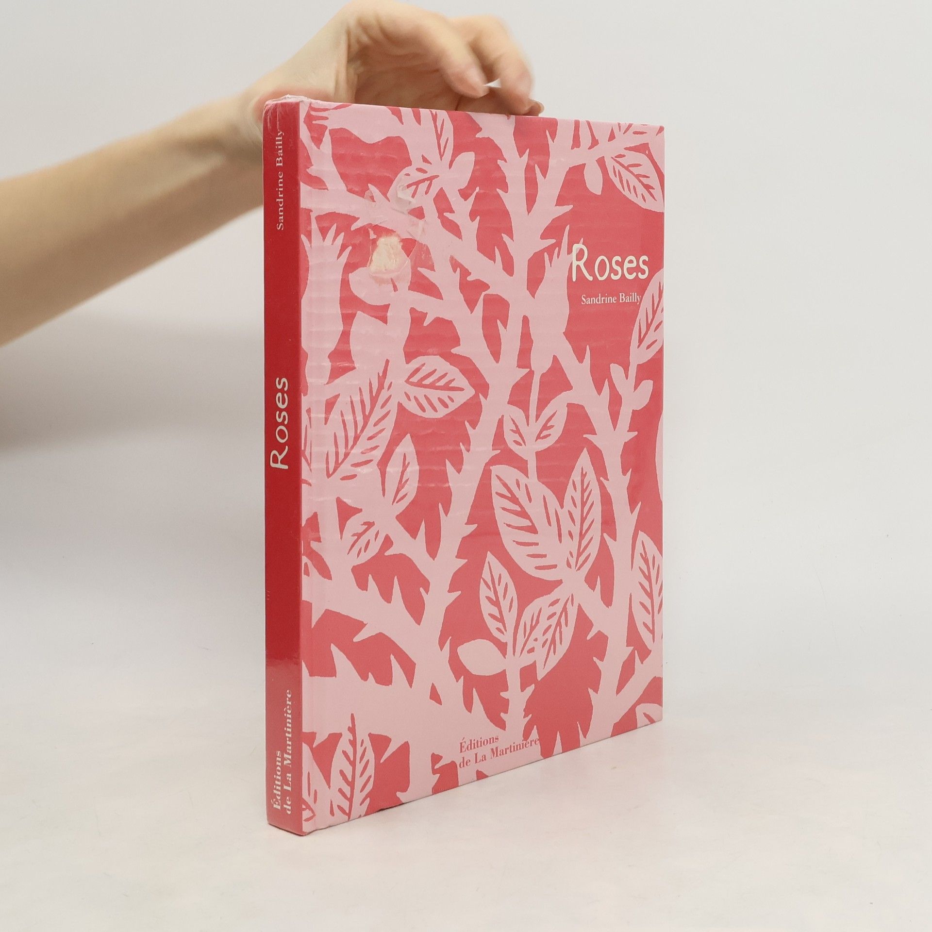 Sandrine Bailly Roses