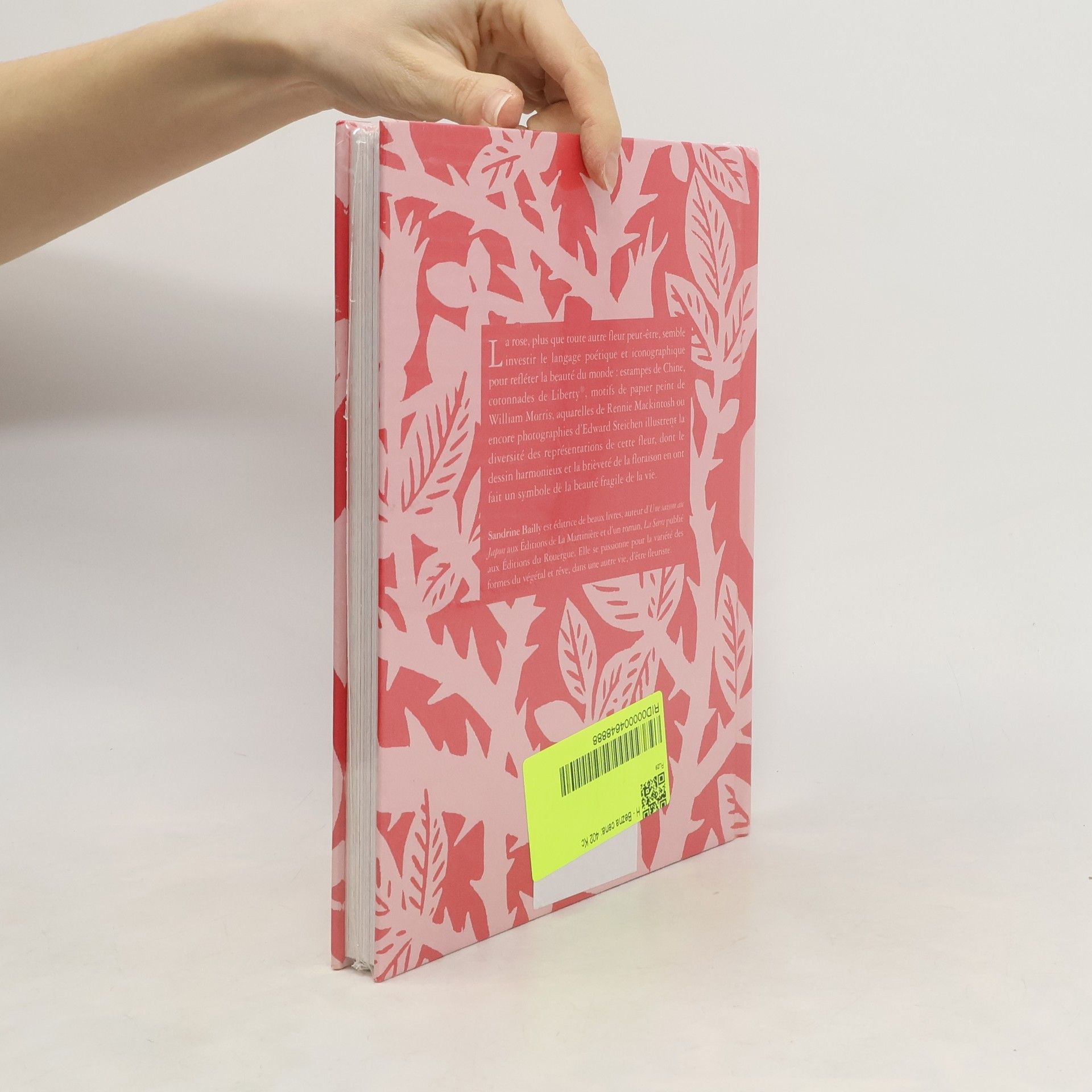 Sandrine Bailly Roses