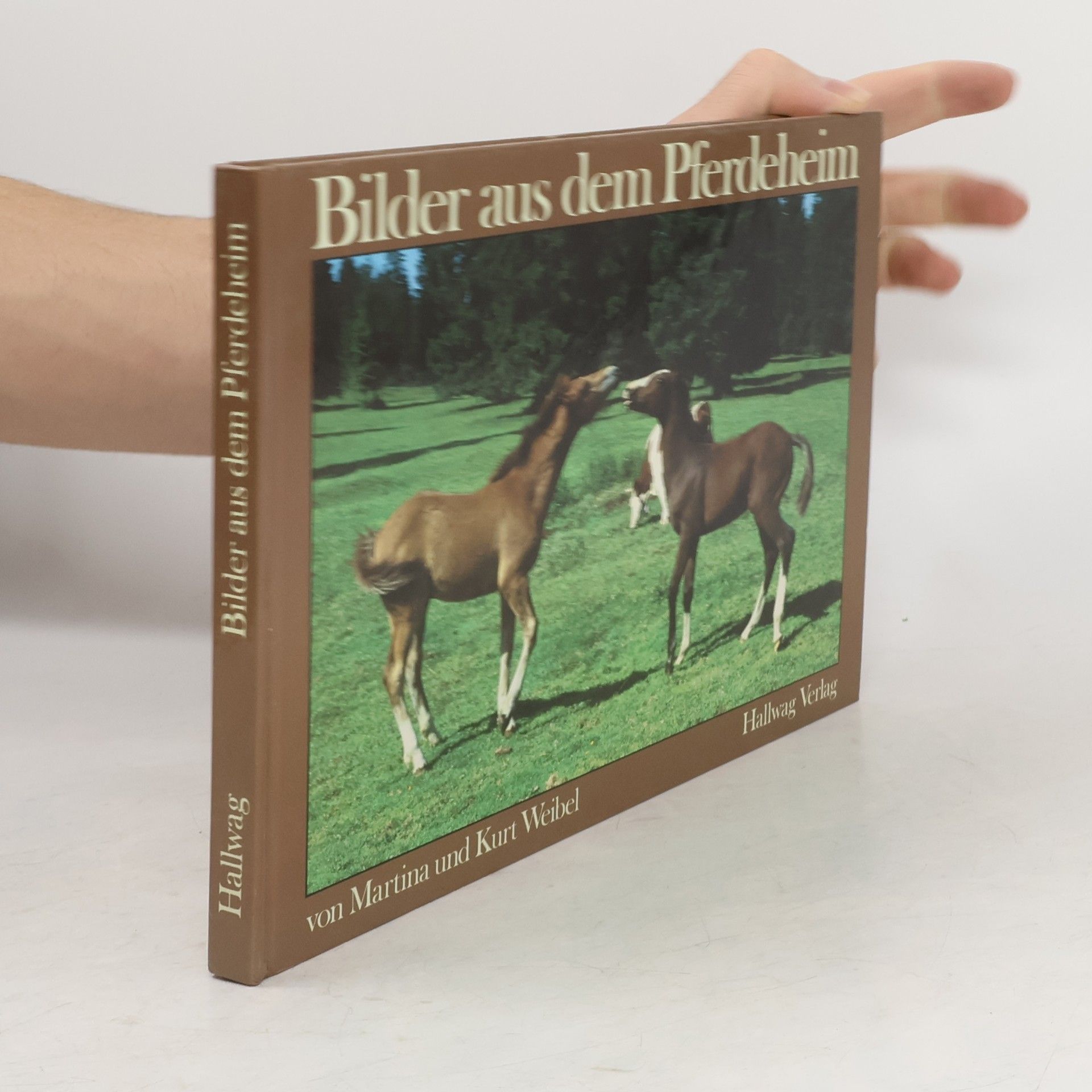 Martina Weibel Bilder aus dem Pferdeheim