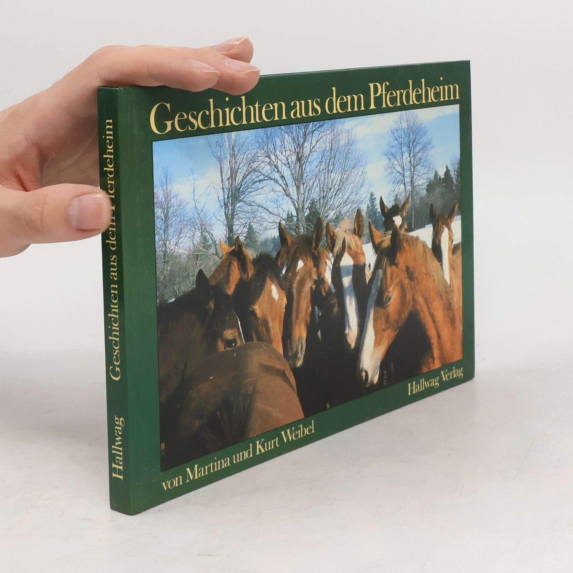 Martina Weibel Geschichten aus dem Pferdeheim